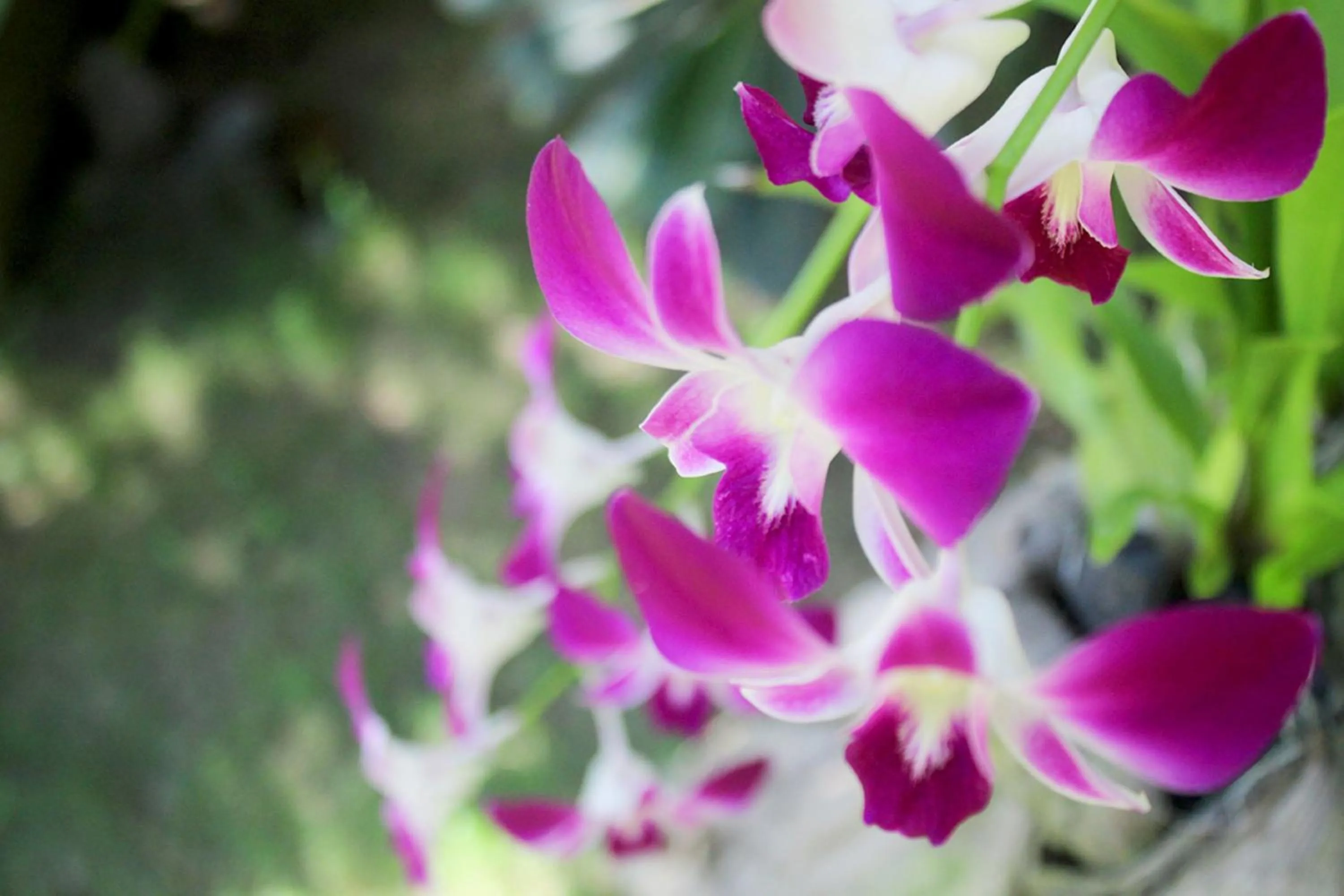 Natural landscape in Me bungalow beach resort