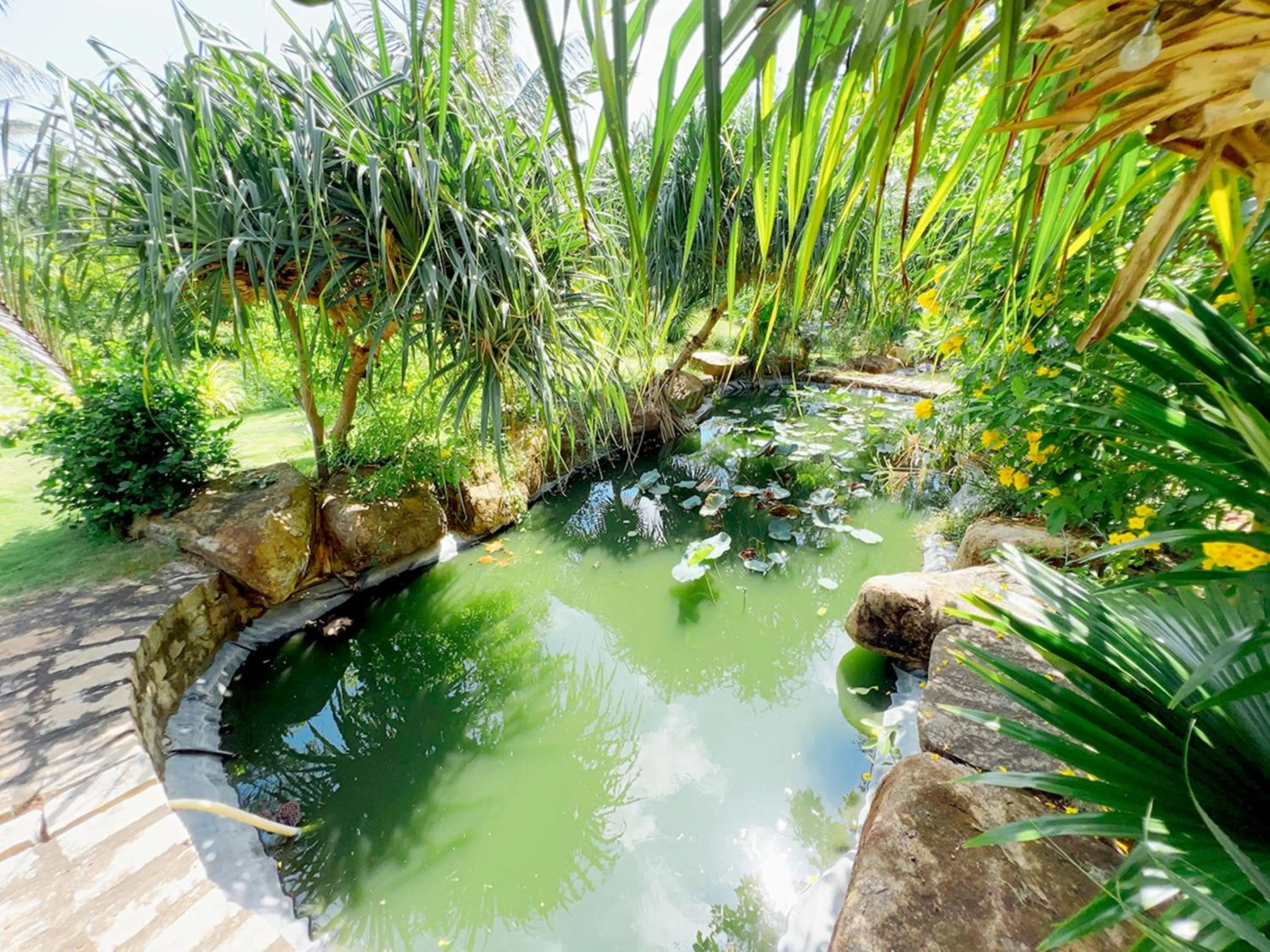 Natural landscape in Me bungalow beach resort