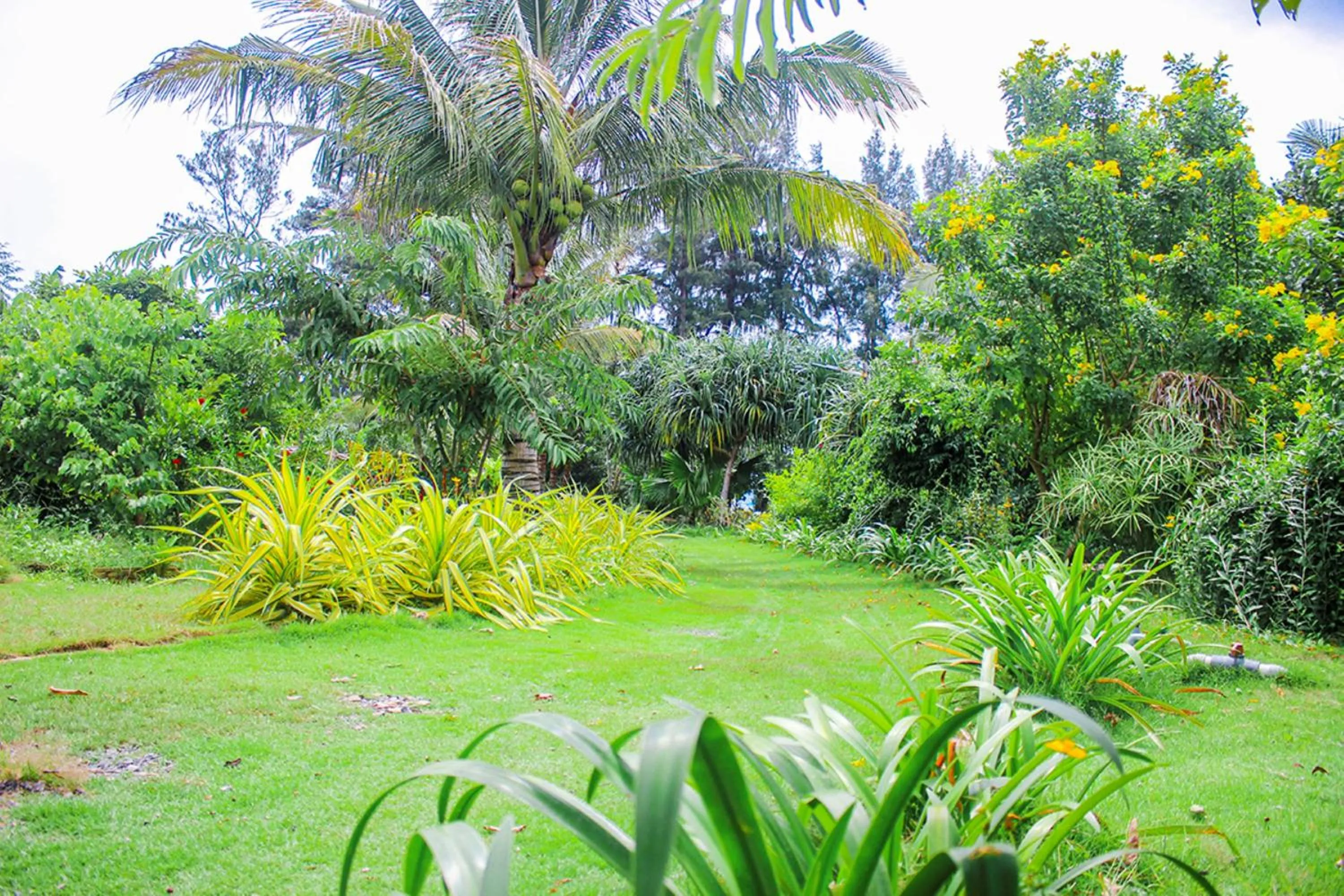 Natural landscape in Me bungalow beach resort