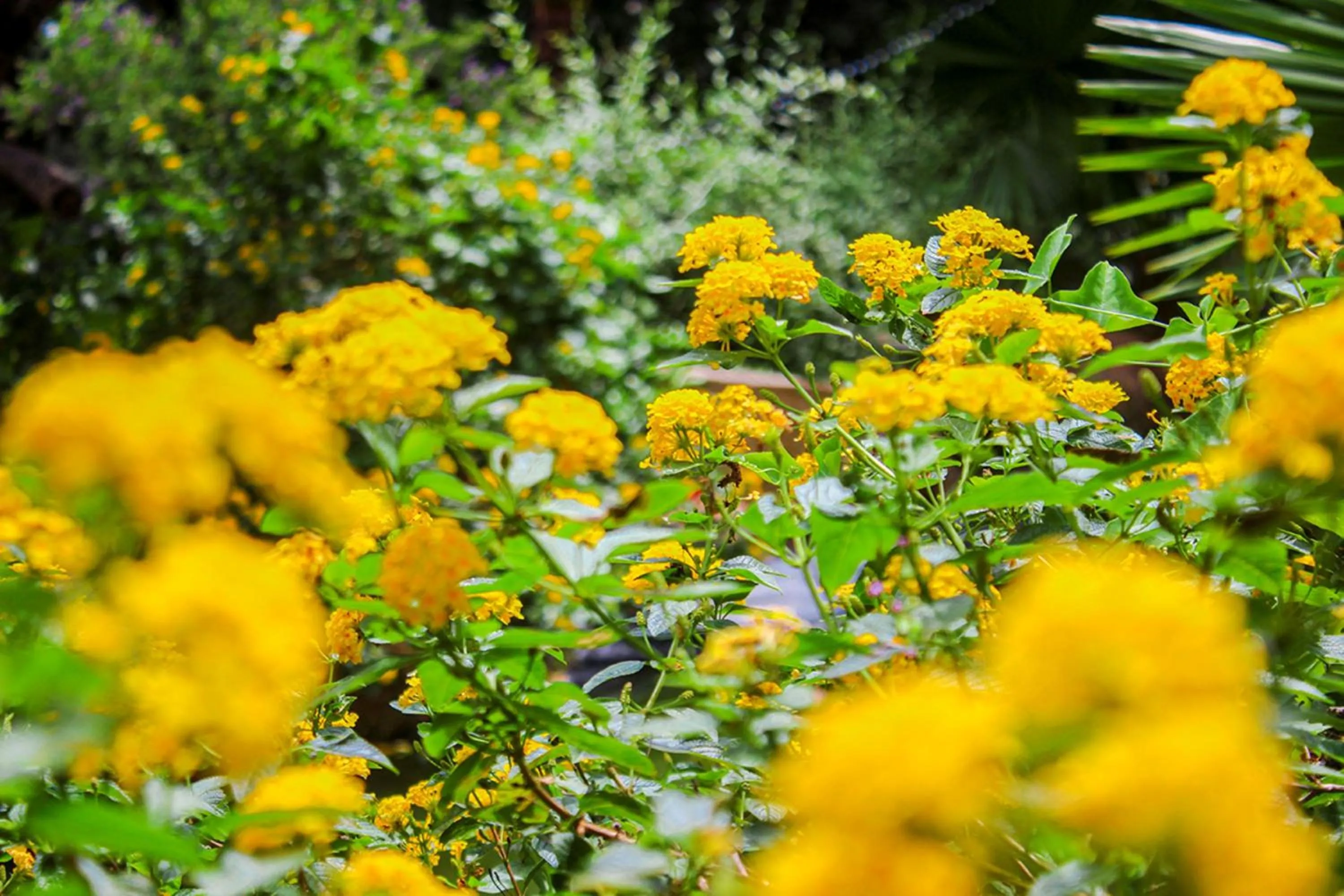 Patio in Me bungalow beach resort