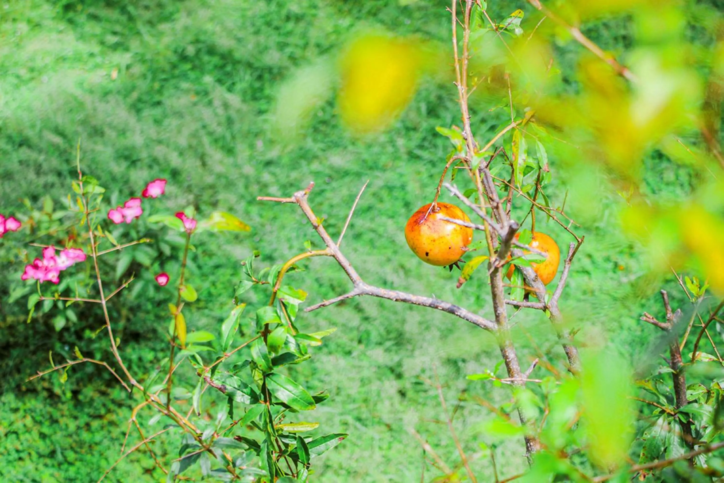 Neighbourhood in Me bungalow beach resort