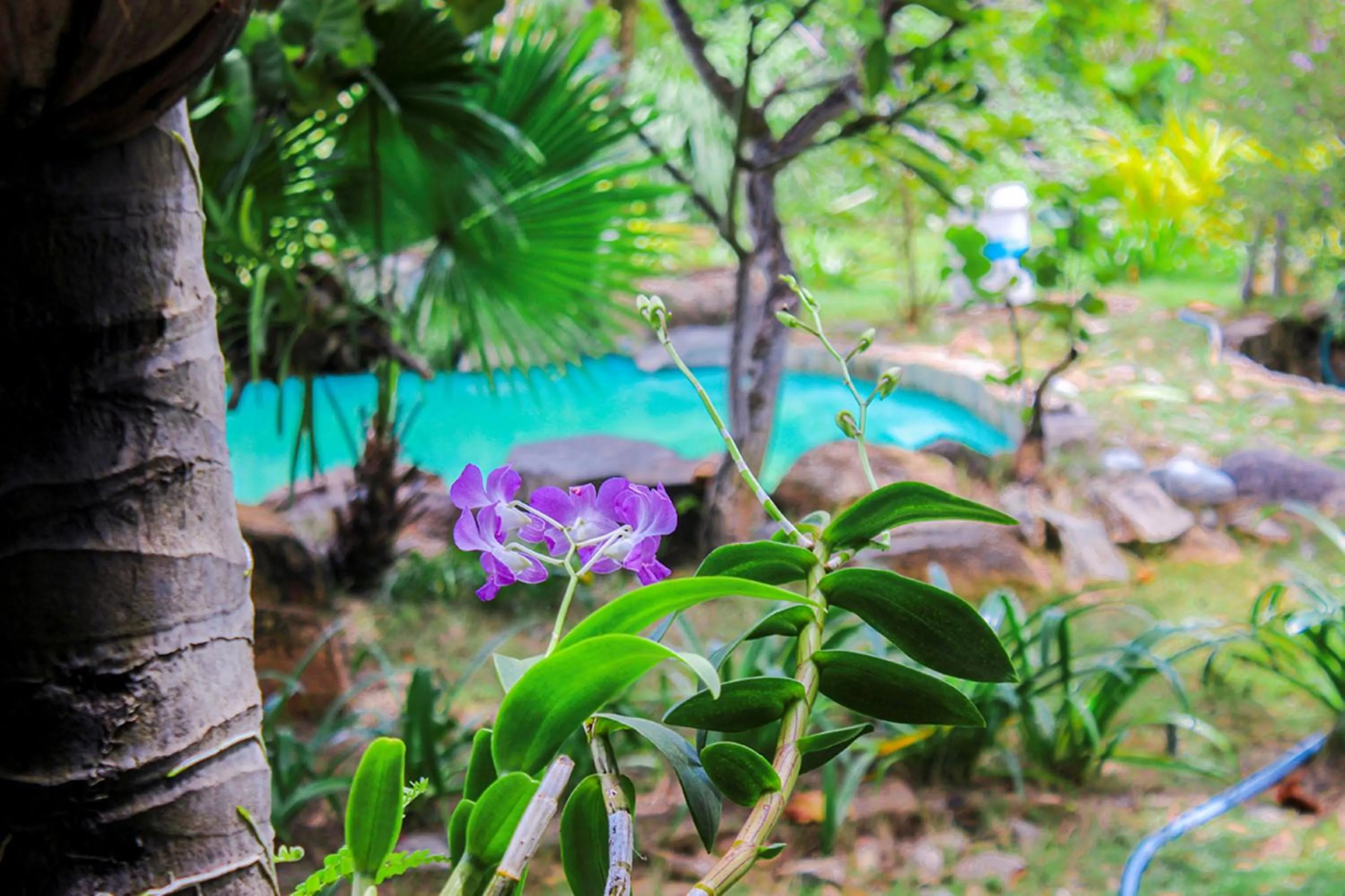 Natural landscape in Me bungalow beach resort