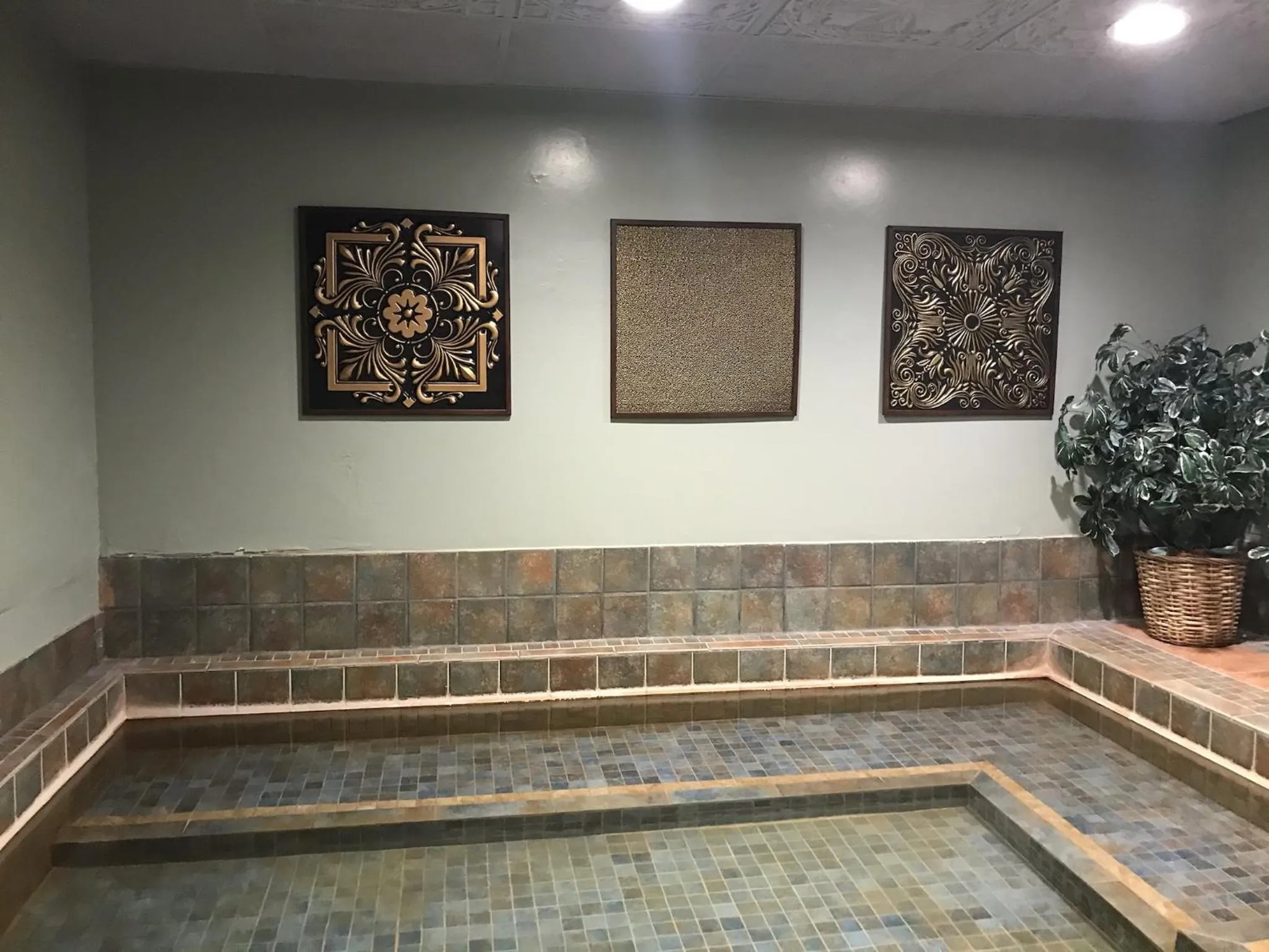 Hot Spring Bath in Riverside Hot Springs Inn & Spa - Adults Only