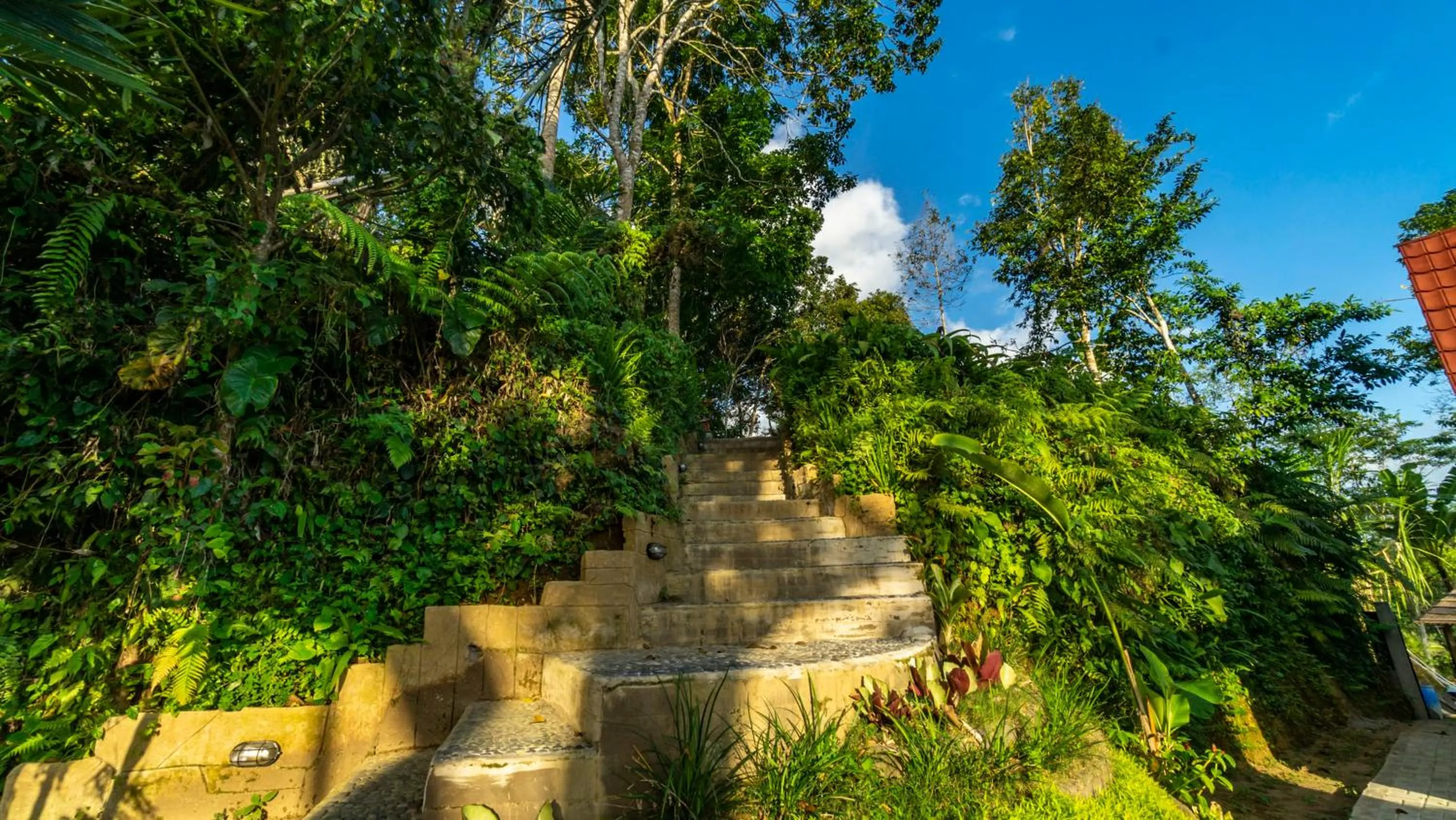 Area and facilities in Anja Villas Ubud