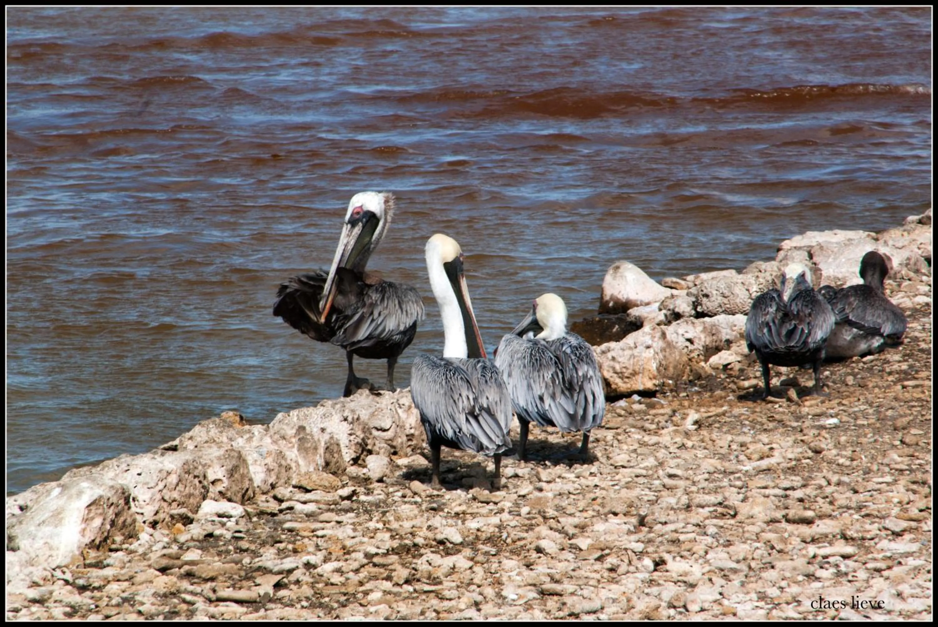 Day in The Lodge Bonaire