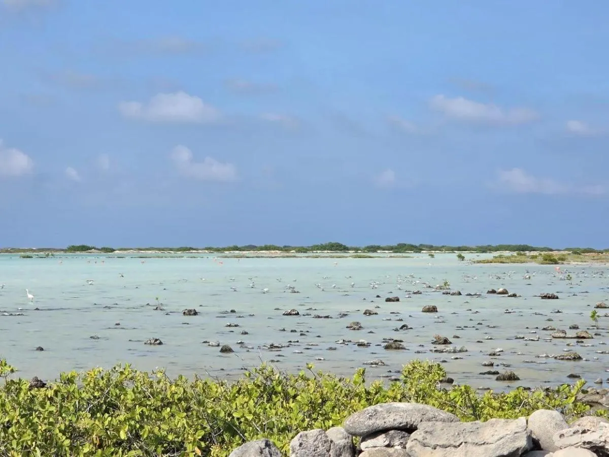 Natural landscape in The Lodge Bonaire