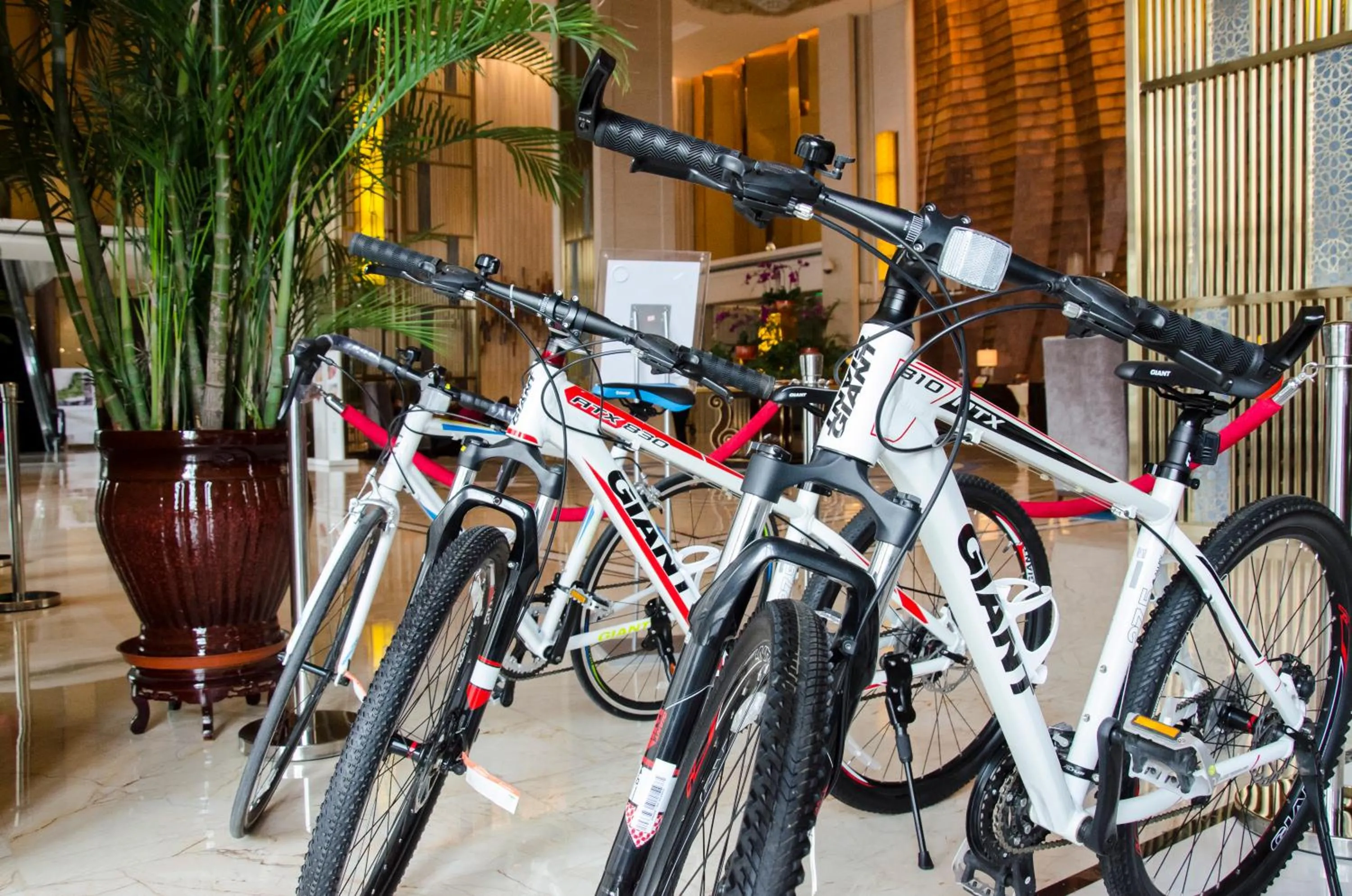 Cycling in Wanda Realm Yinchuan