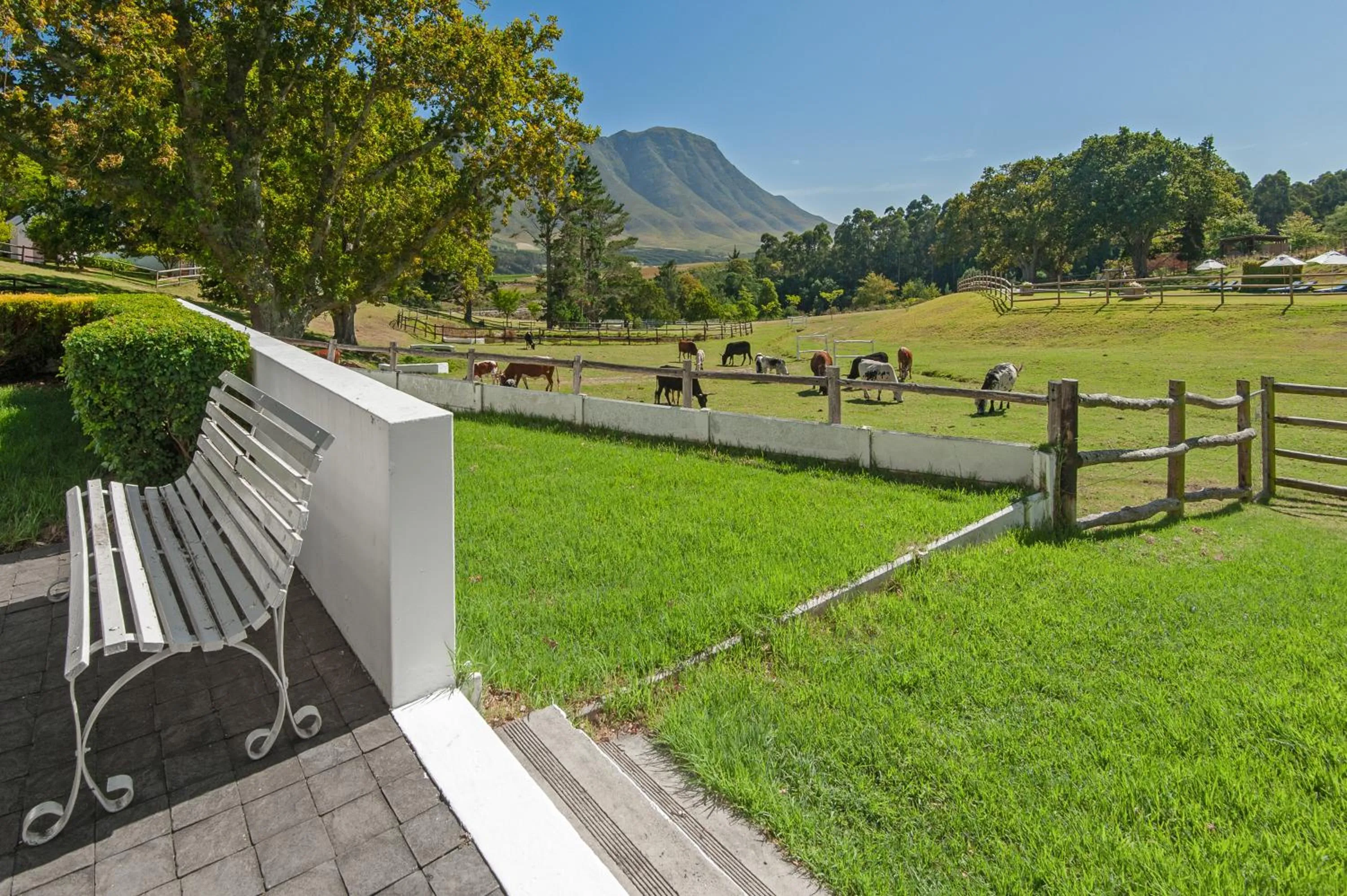 Natural landscape in High Season Farm Luxury Cottages