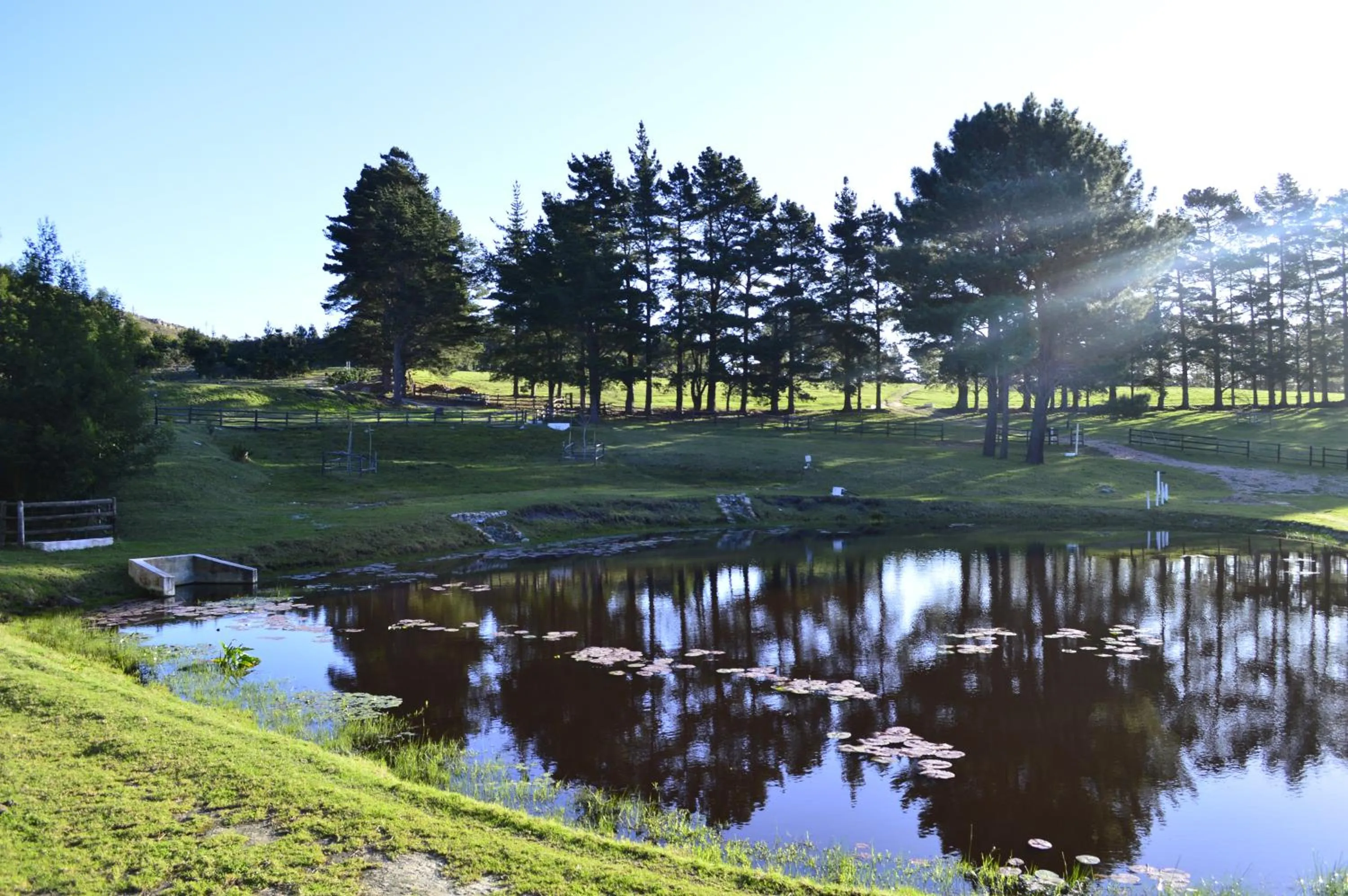 Natural landscape in High Season Farm Luxury Cottages