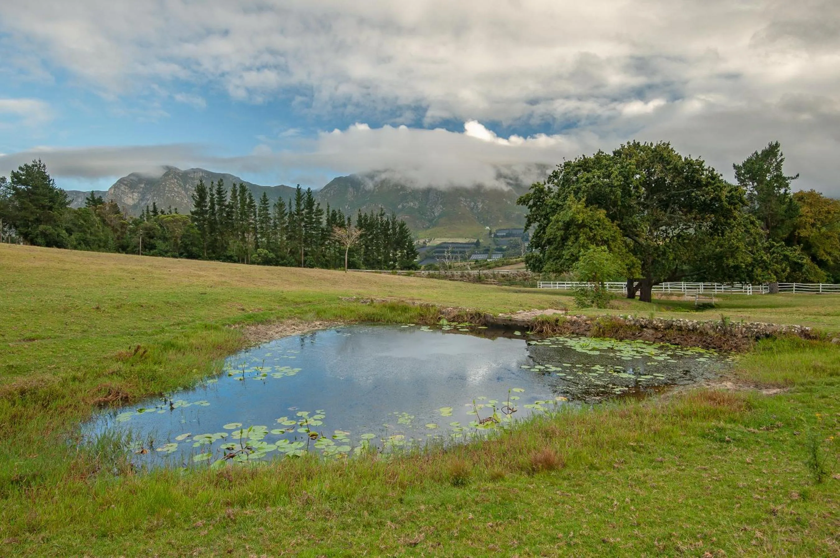 Natural landscape in High Season Farm Luxury Cottages