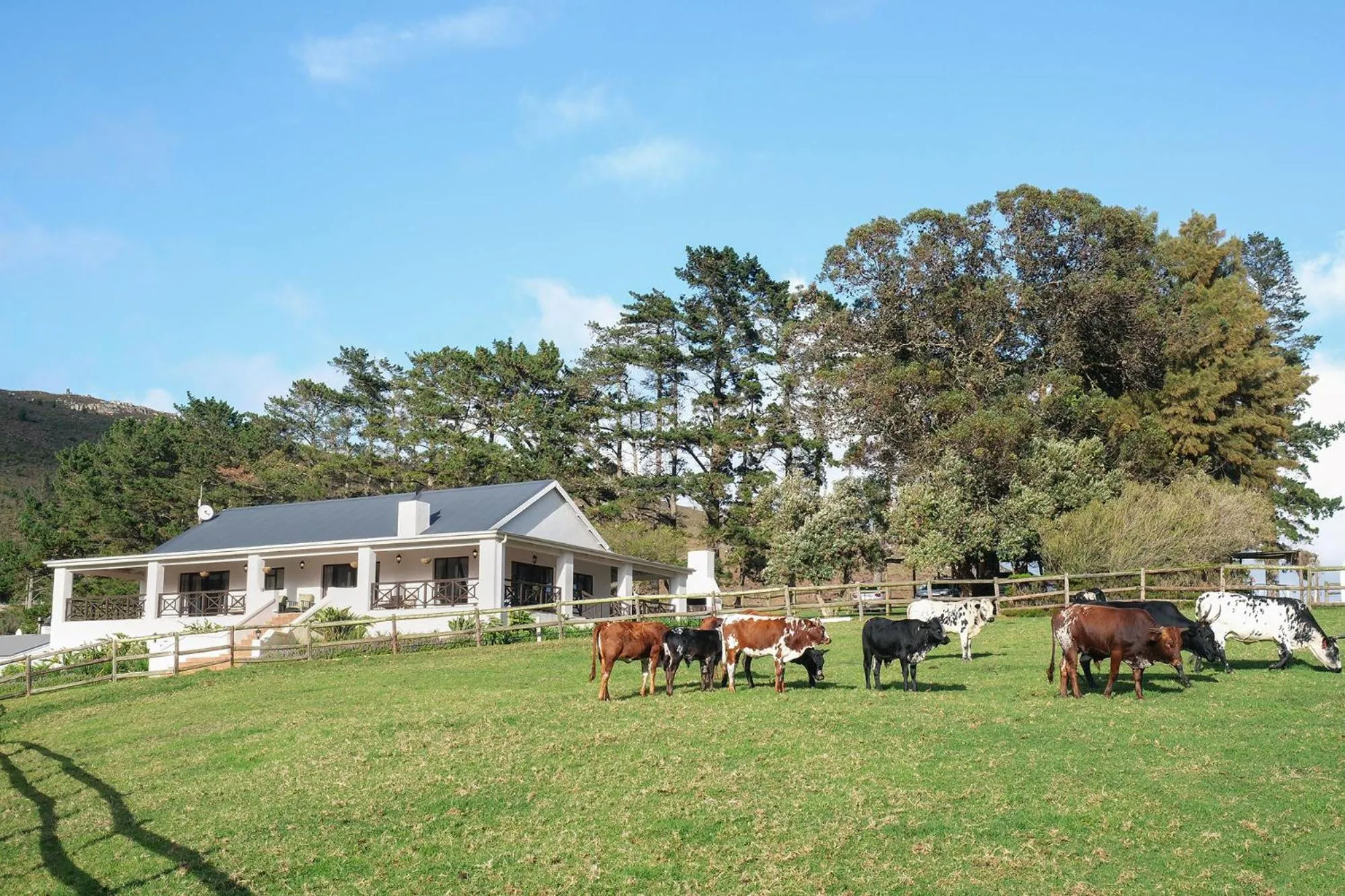 Garden view in High Season Farm Luxury Cottages