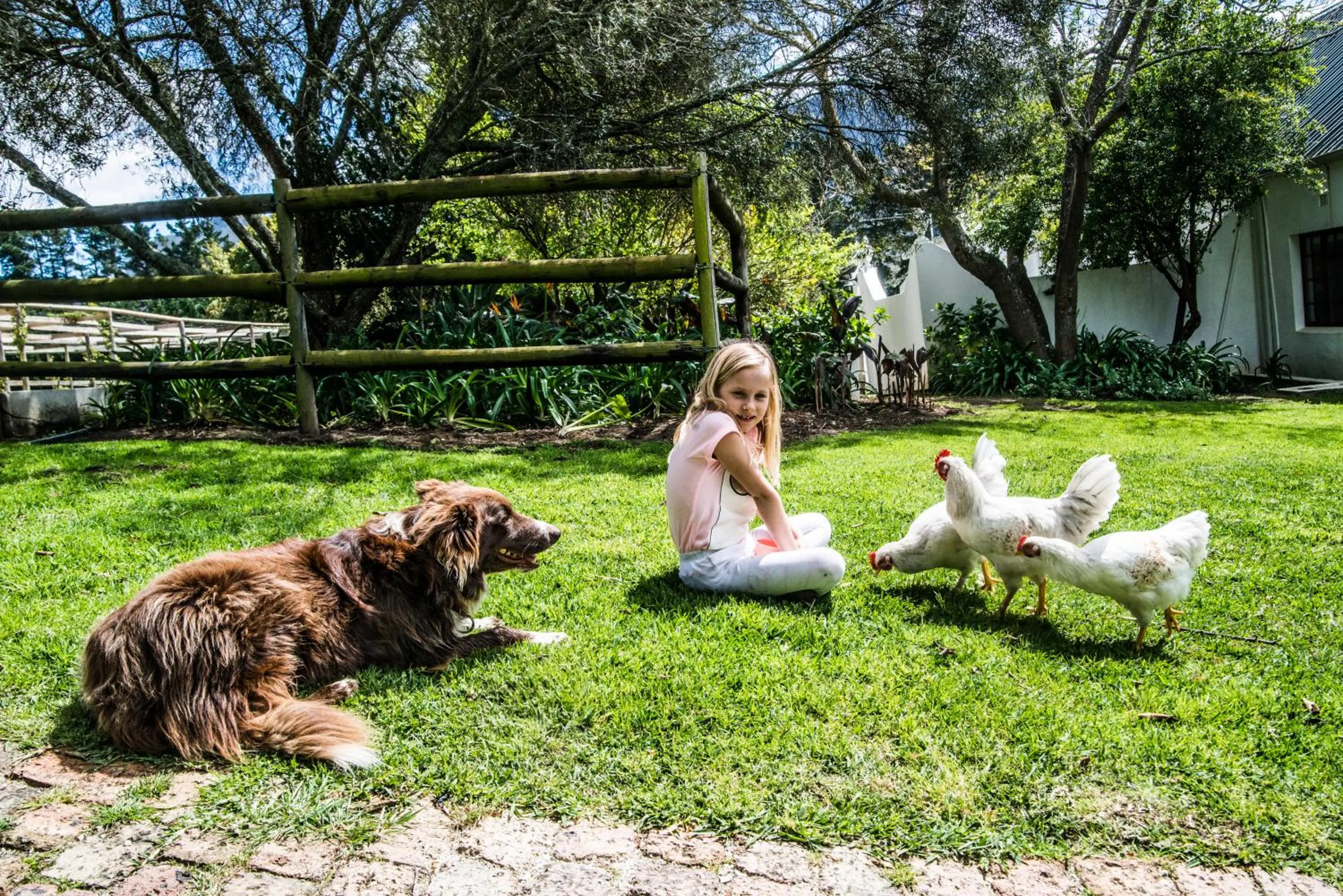 Garden in High Season Farm Luxury Cottages