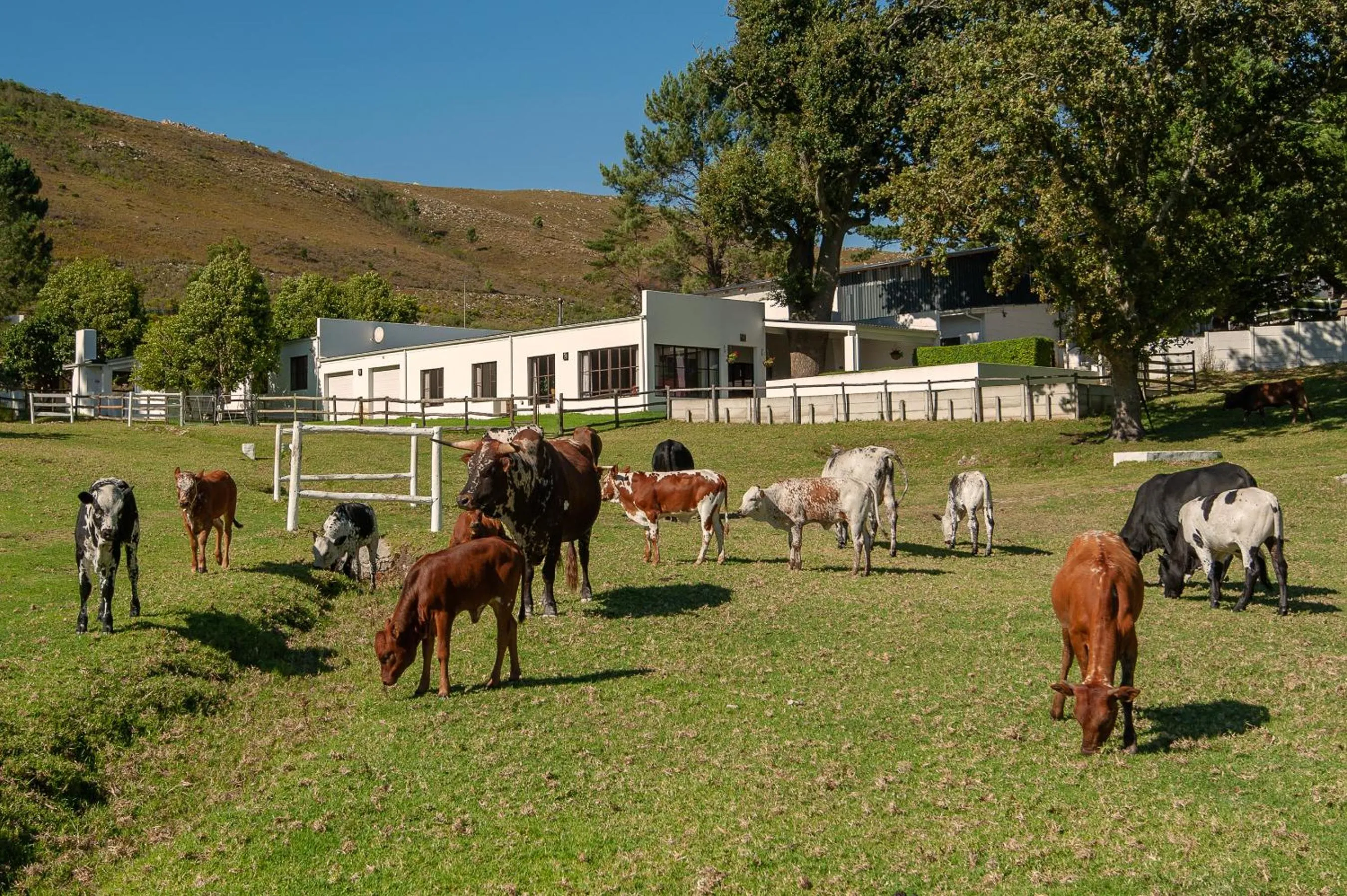 Property building in High Season Farm Luxury Cottages