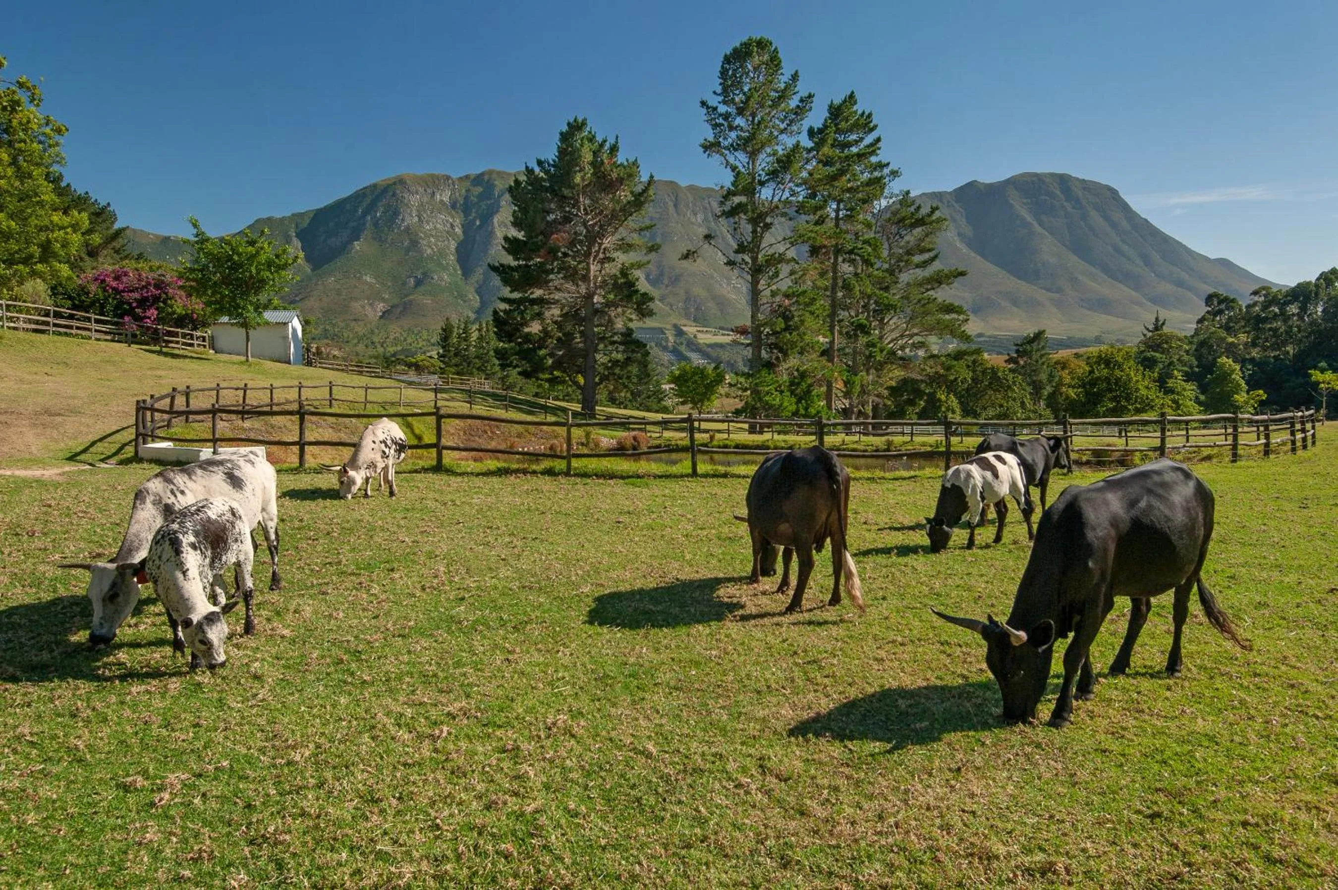 Natural landscape in High Season Farm Luxury Cottages