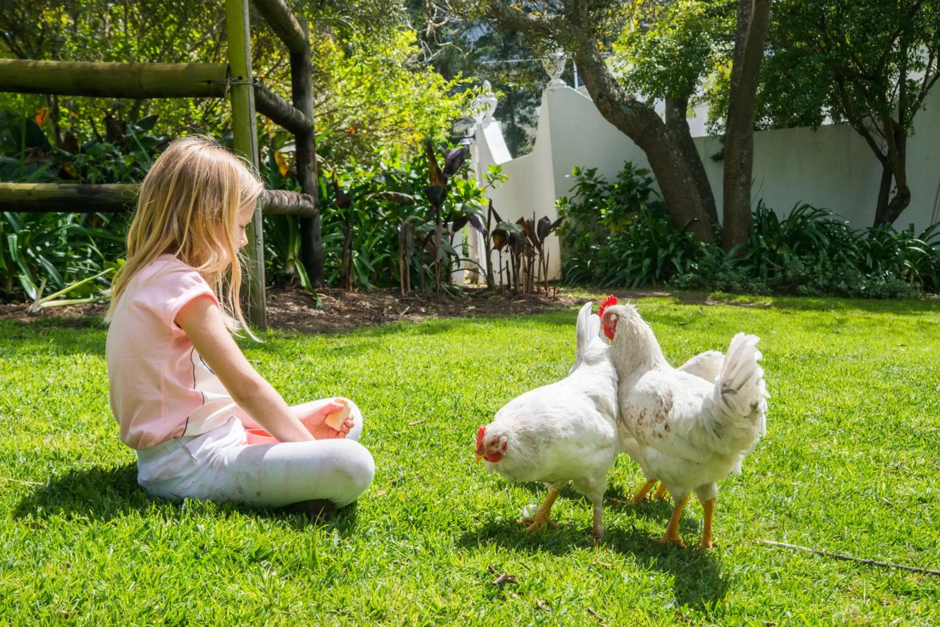 Garden in High Season Farm Luxury Cottages