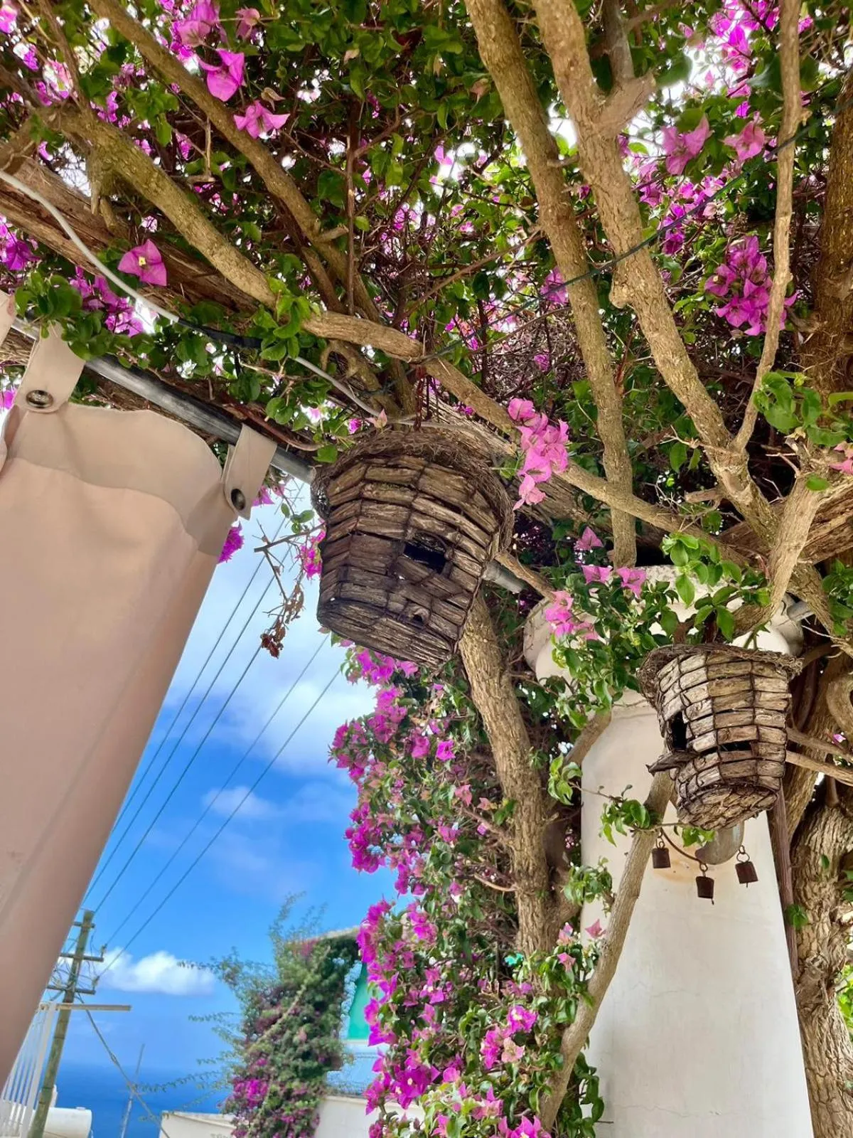 Balcony/Terrace in alle Stelle b&b