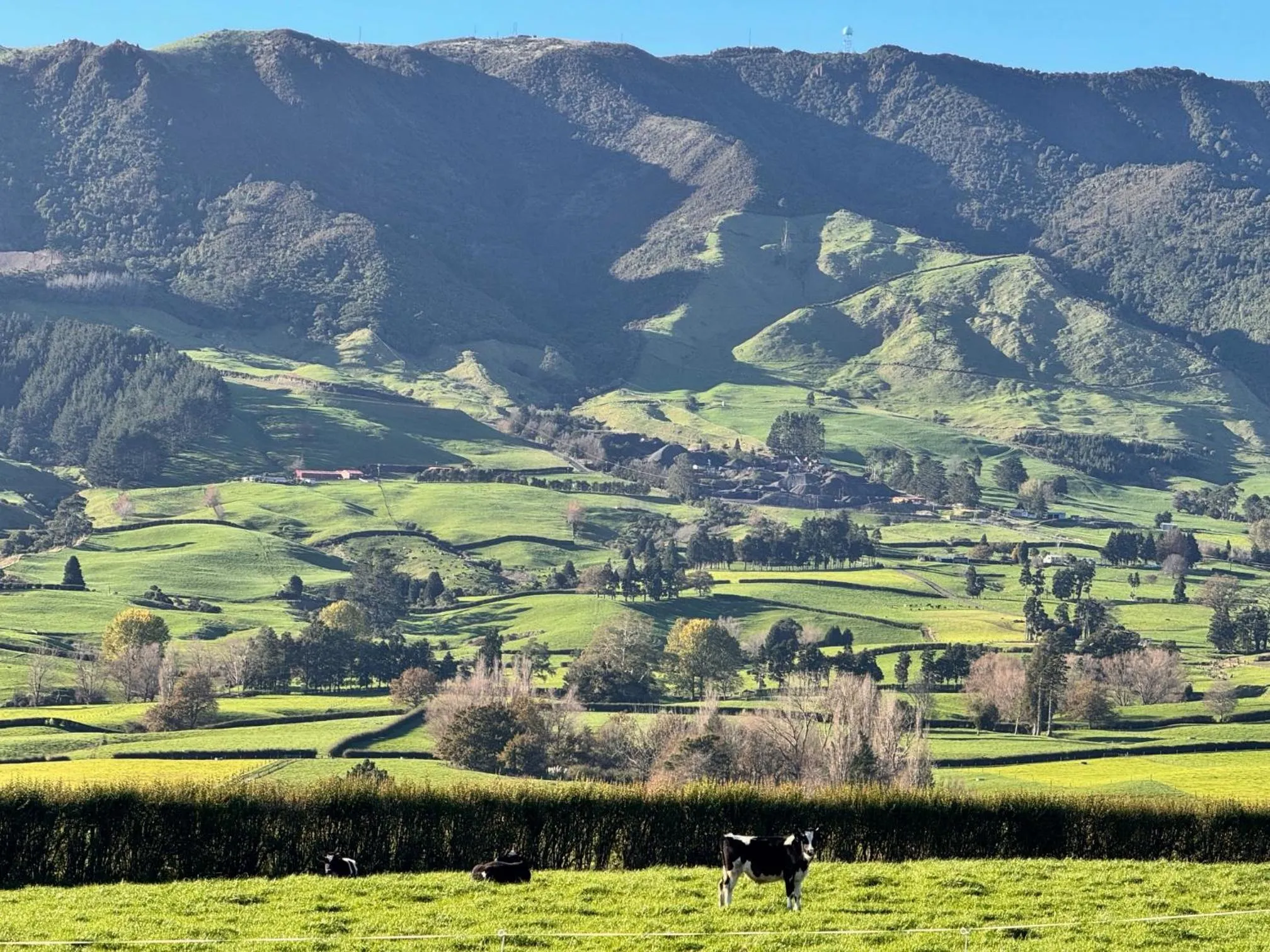 Natural landscape in Matamata Lodge