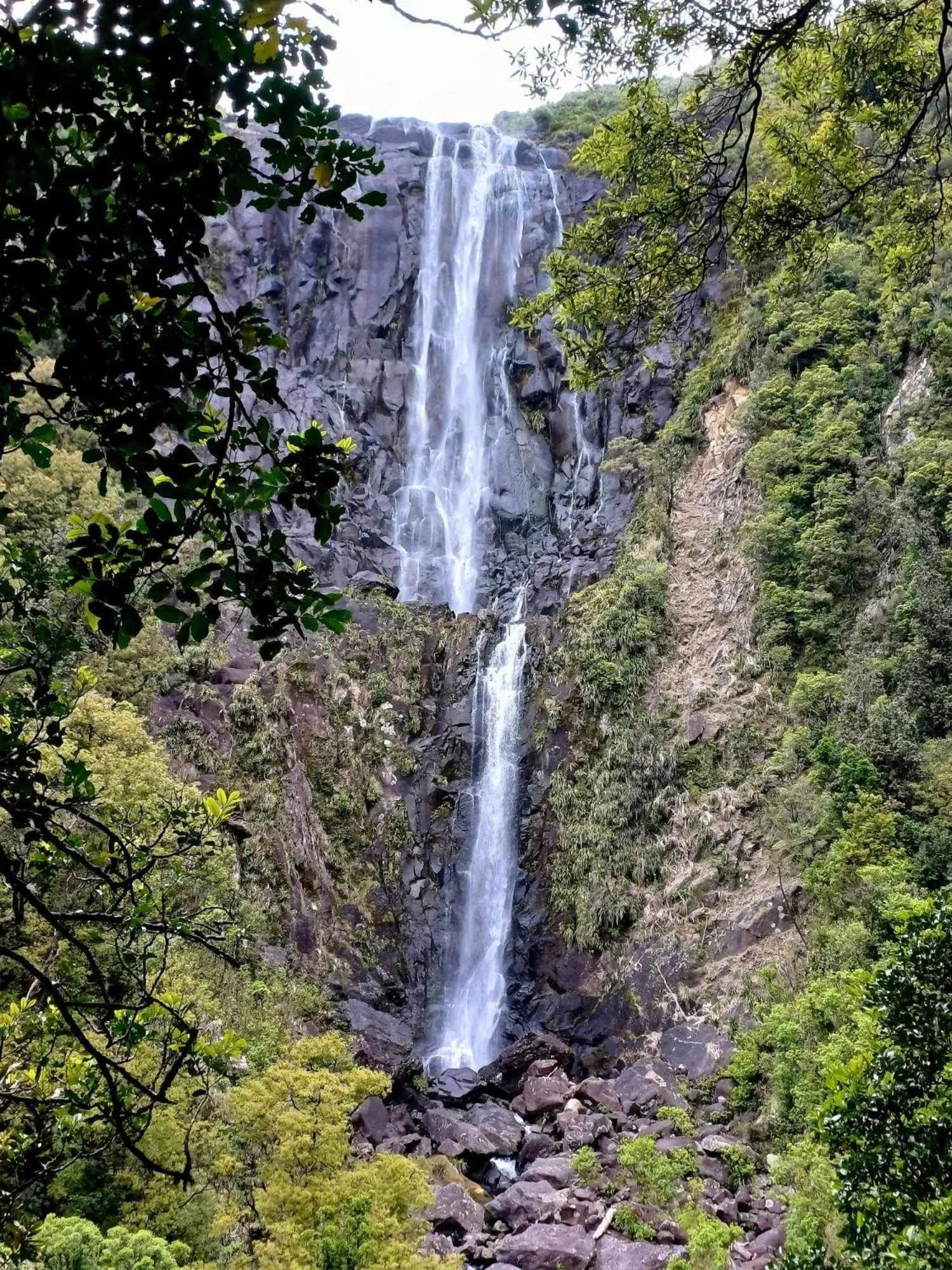Nearby landmark in Matamata Lodge