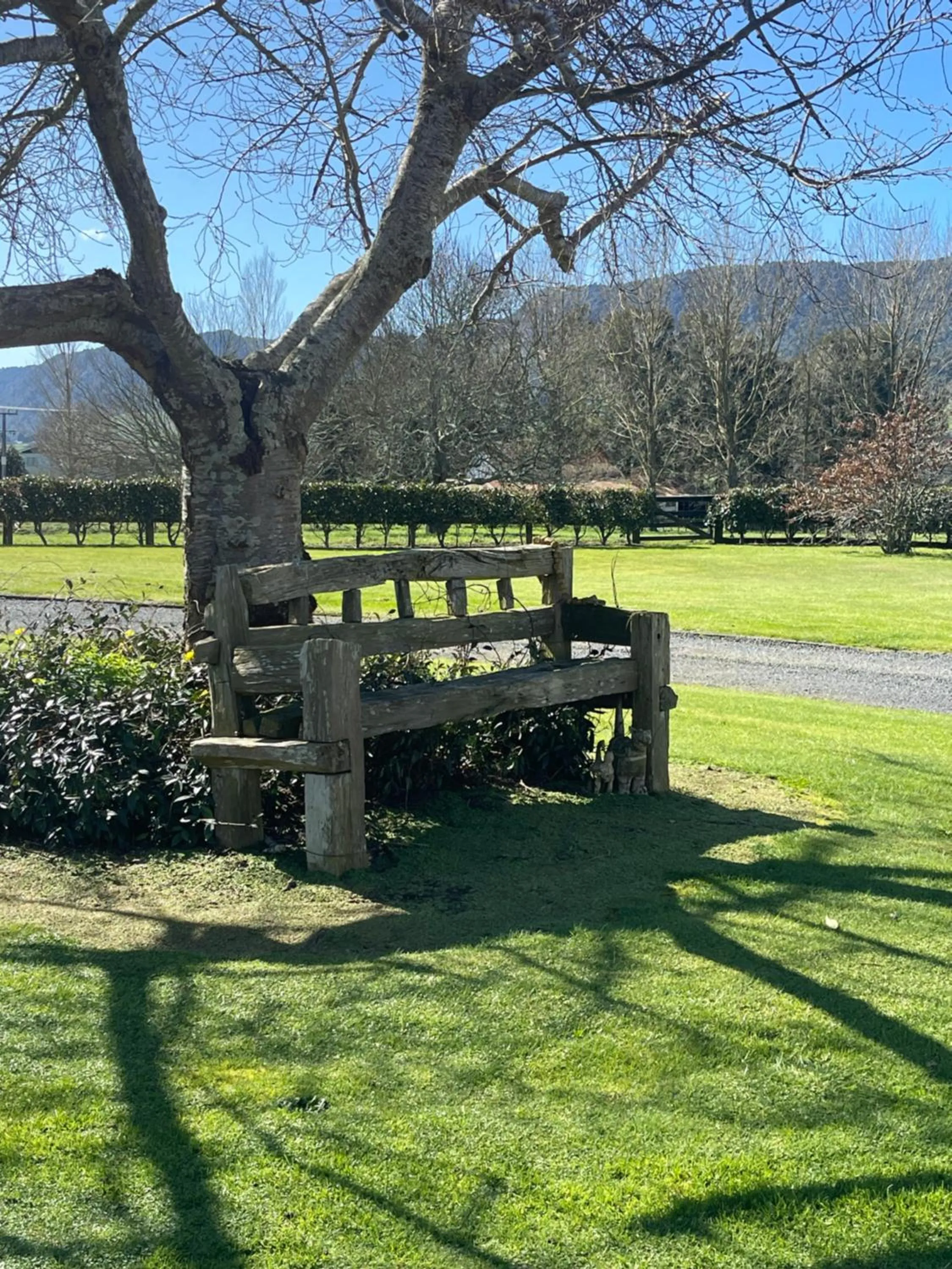Garden in Matamata Lodge