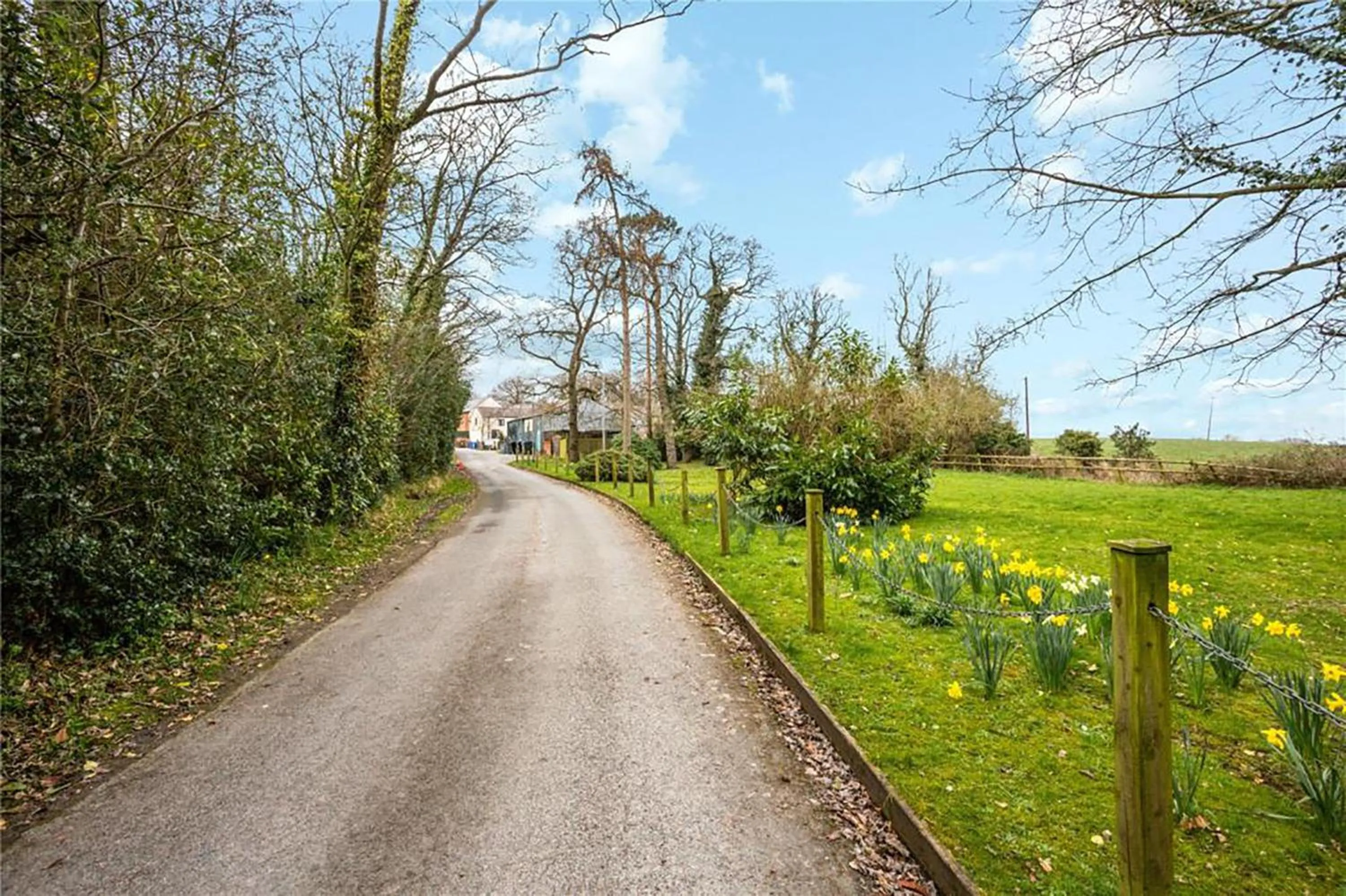 View (from property/room) in Plas Bellin Hall