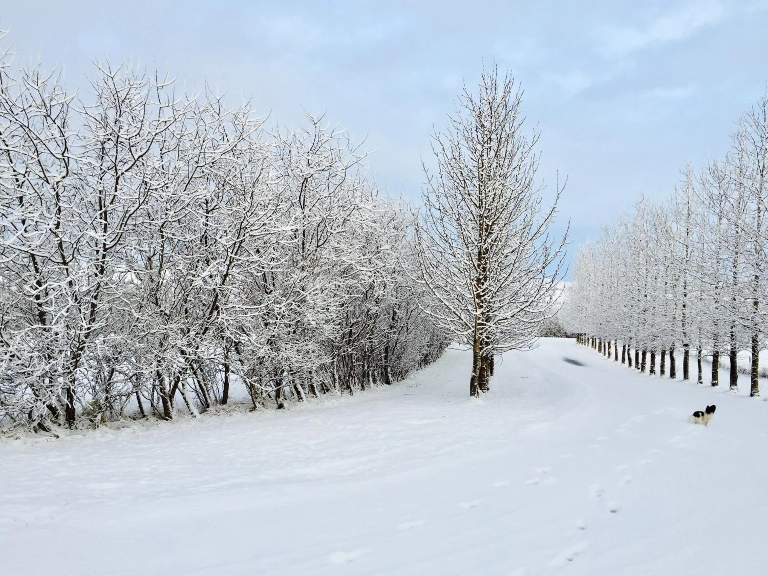 Natural landscape in Hótel Eyjafjallajökull