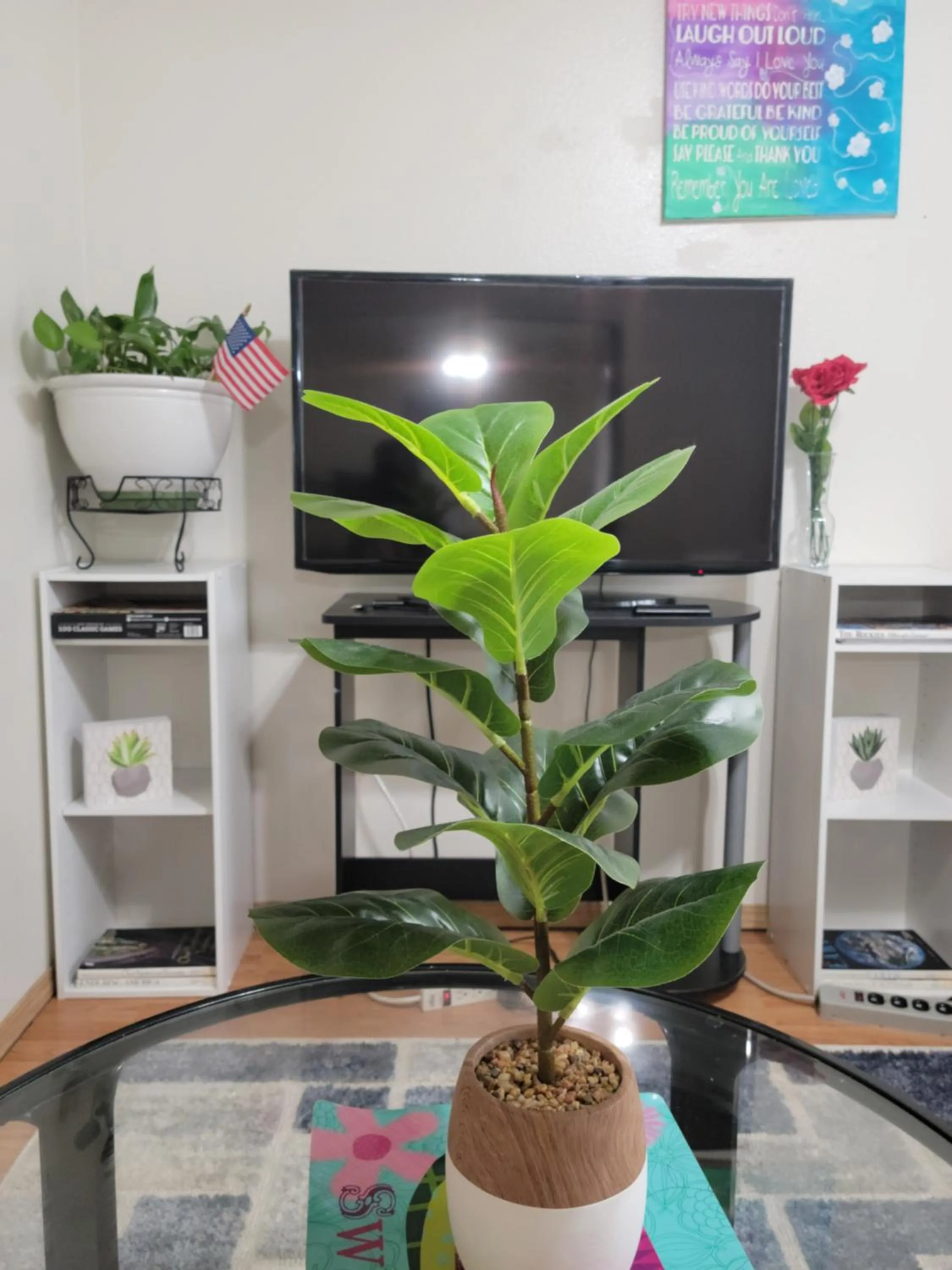 TV and multimedia in RJN