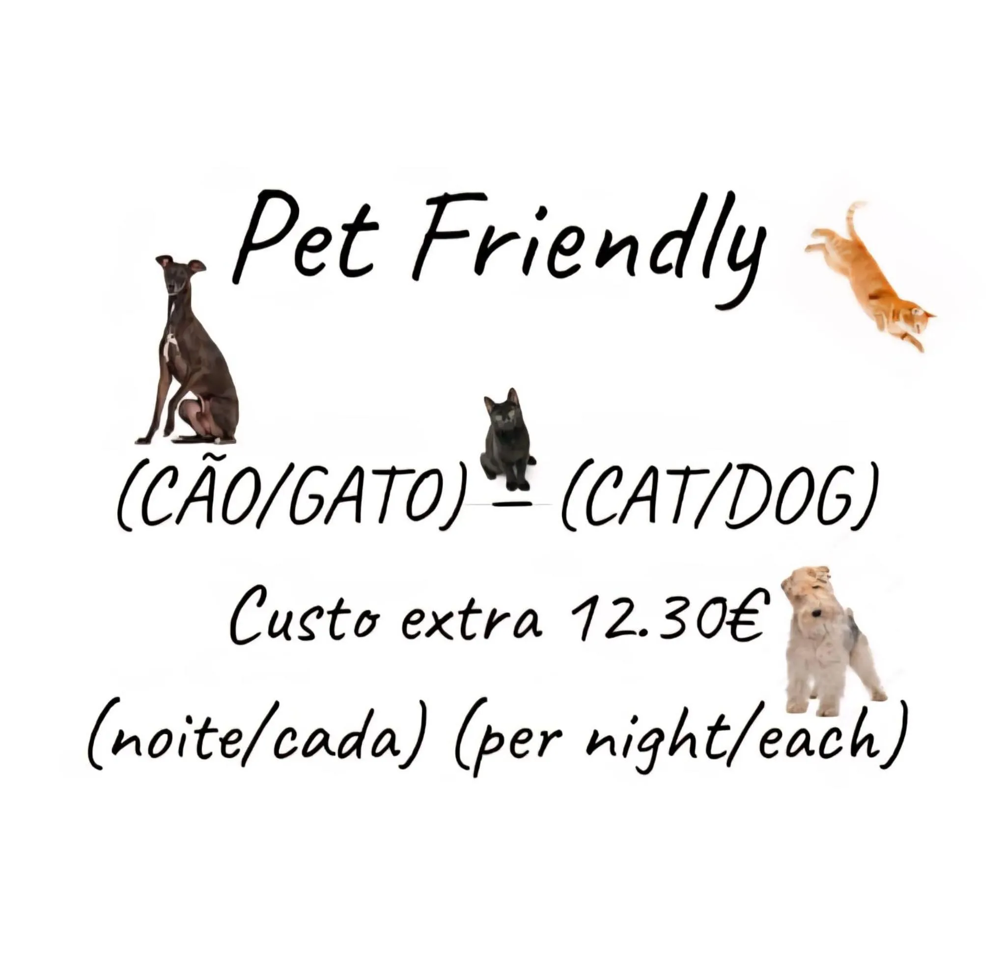 Pets in Alcamim Guesthouse