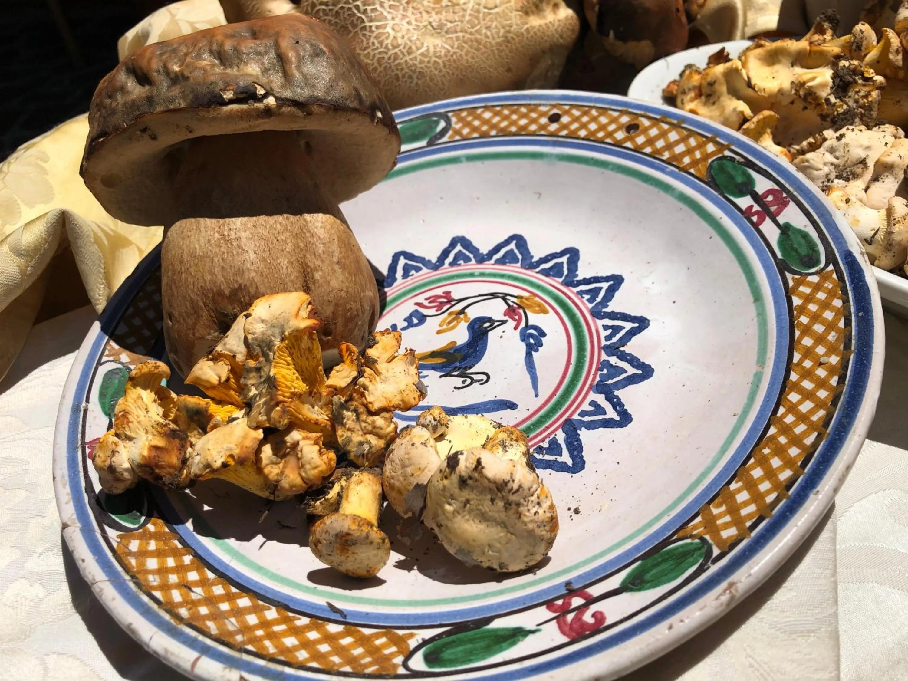 Activities in Hotel Pietrapanna