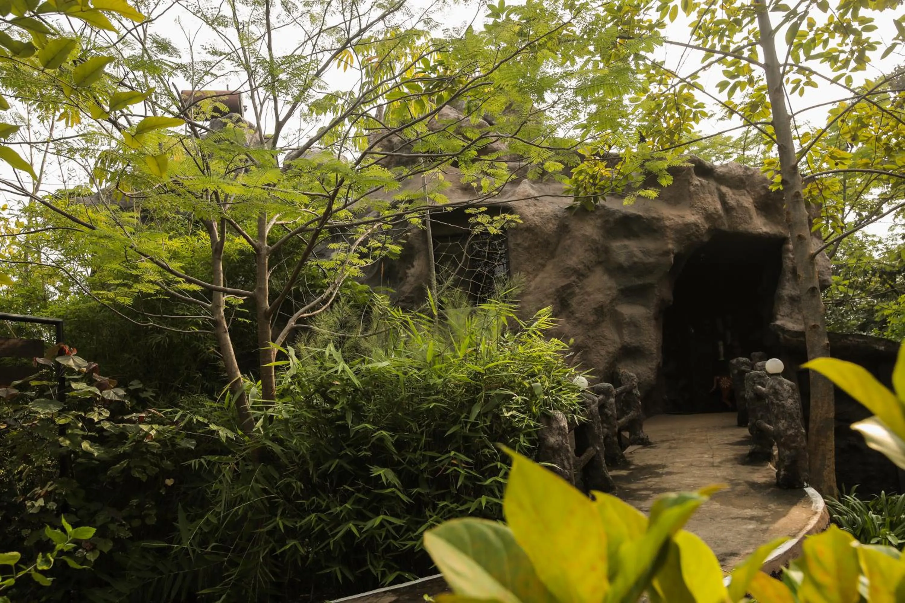 Natural landscape in Tathastu Pench