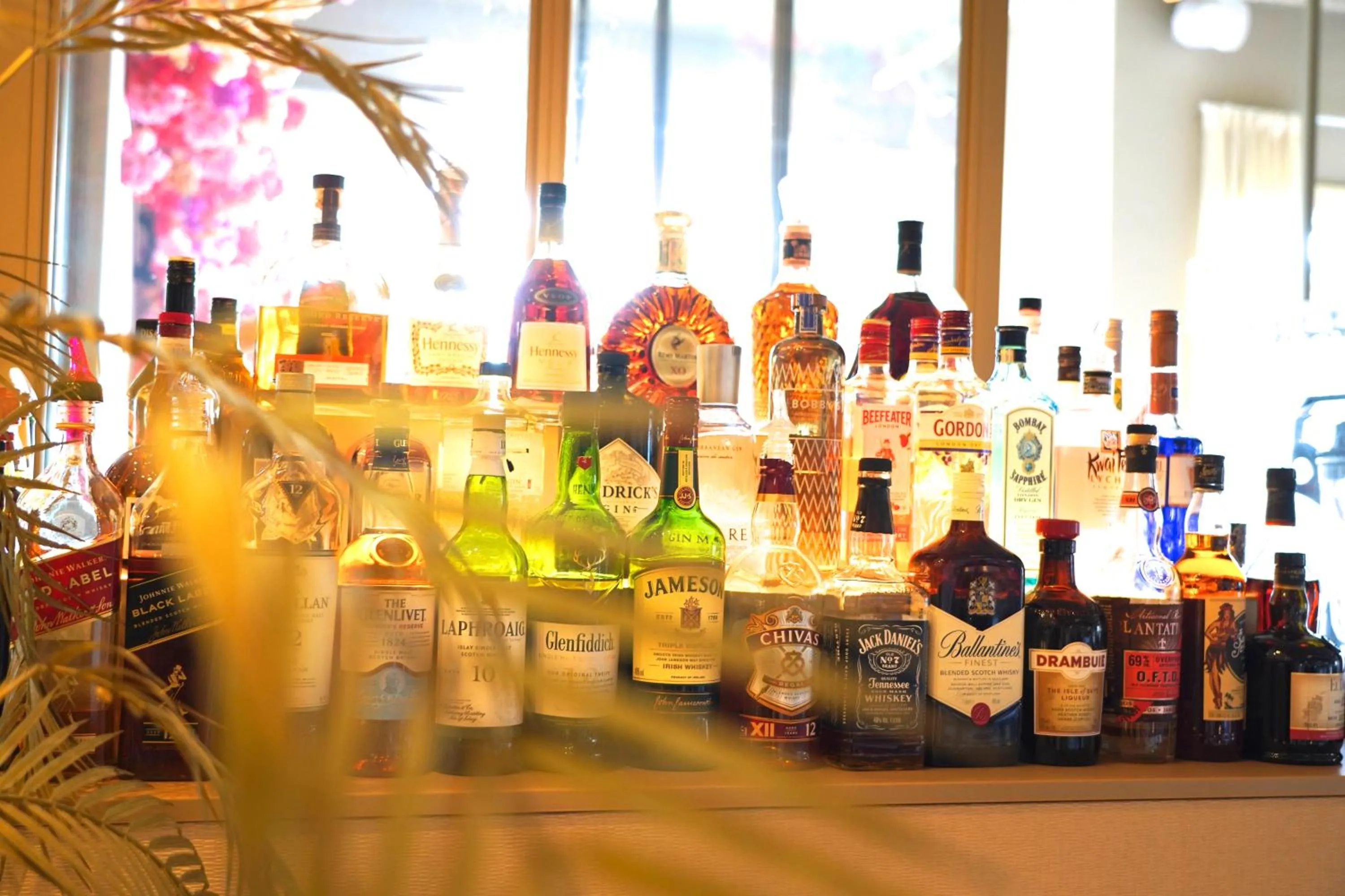 Lounge or bar in Hotel Alkmaar - Bar & Restaurant