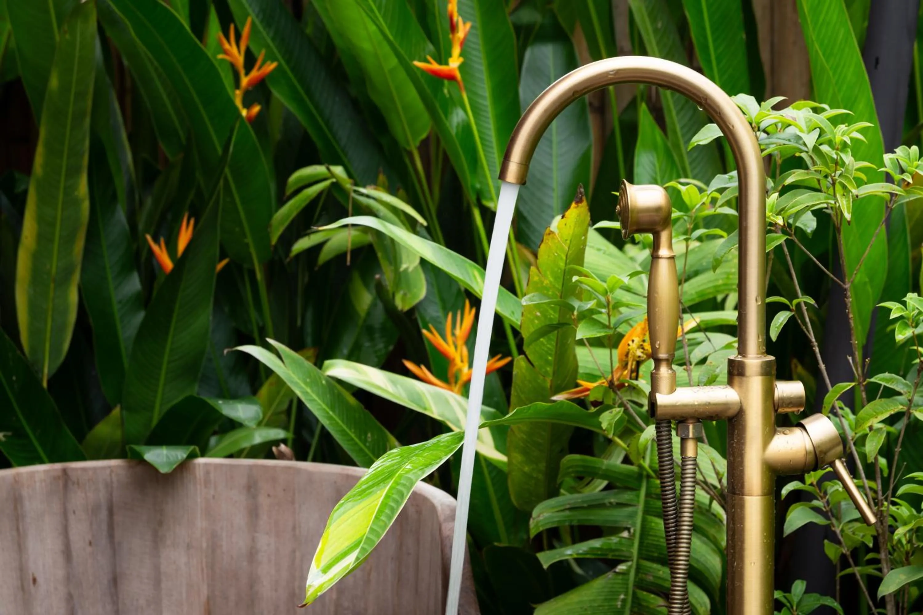 Bath in CAMP CAYLA - EDEN