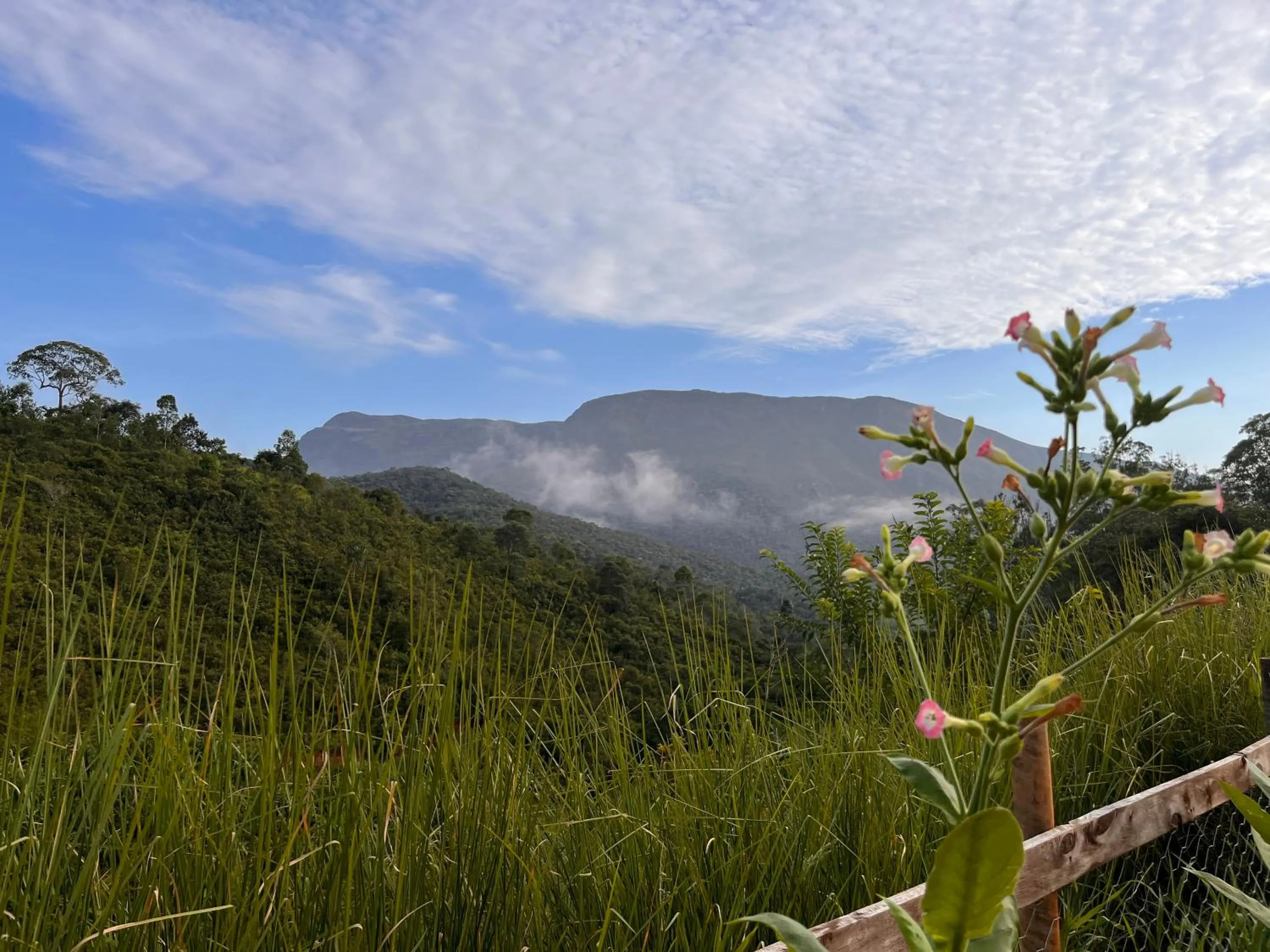 Mountain view in Pousada Boutique Raio de Luz
