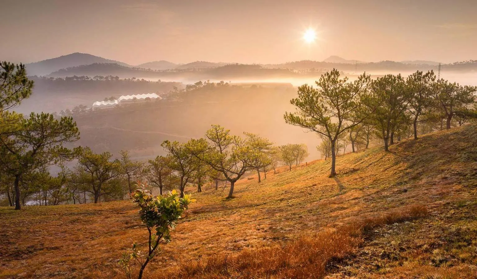 Đảo Hoa Dalat Hotel