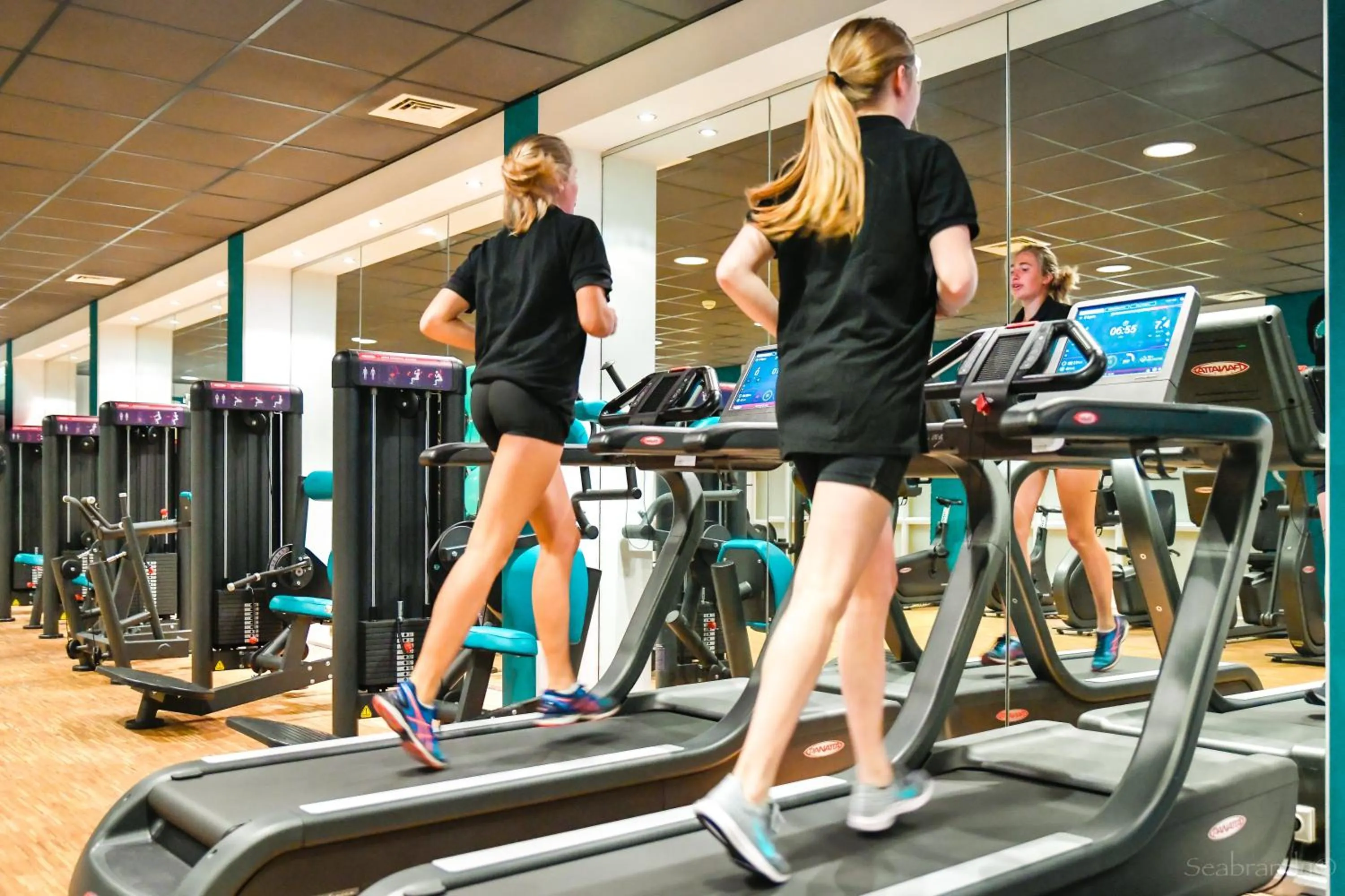 Fitness centre/facilities in Heerlickheijd van Ermelo