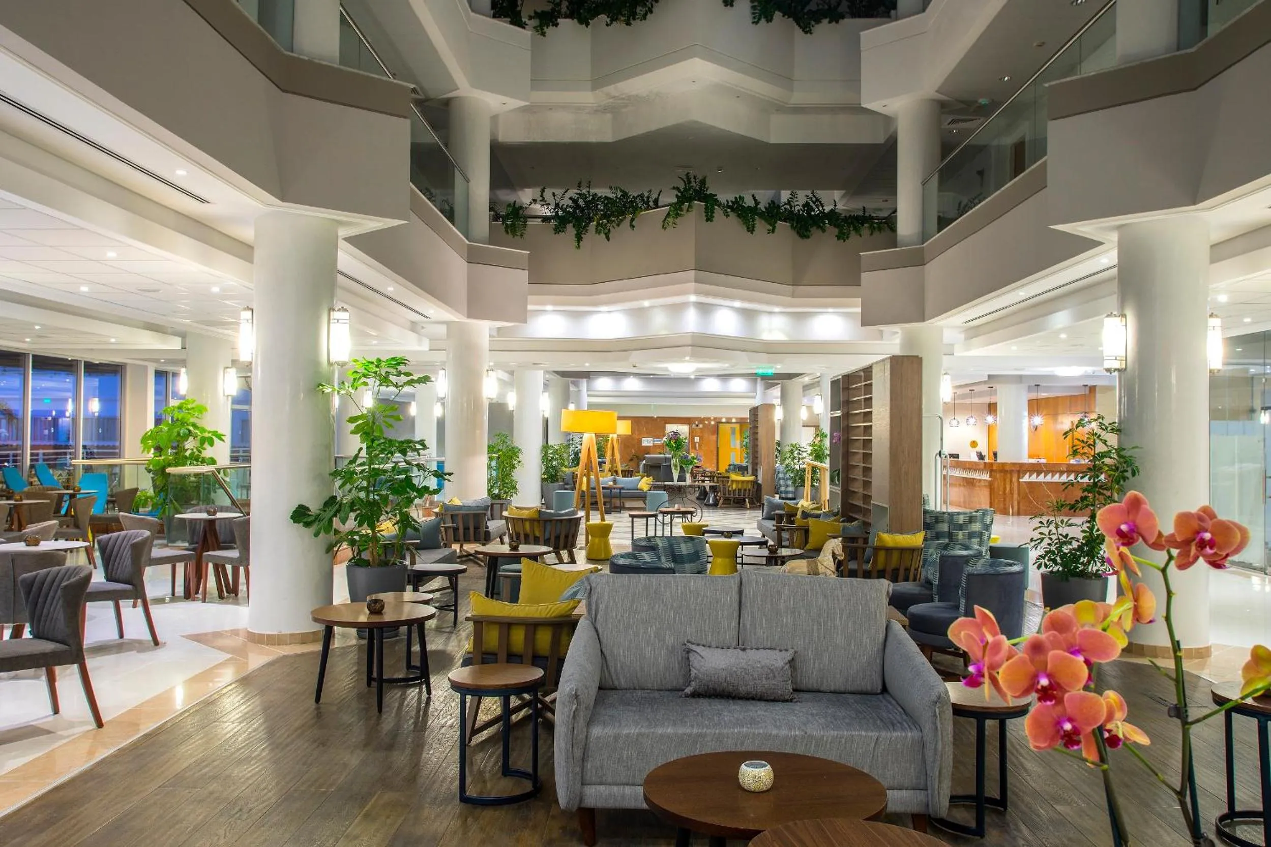 Lounge or bar in Leonardo Cypria Bay