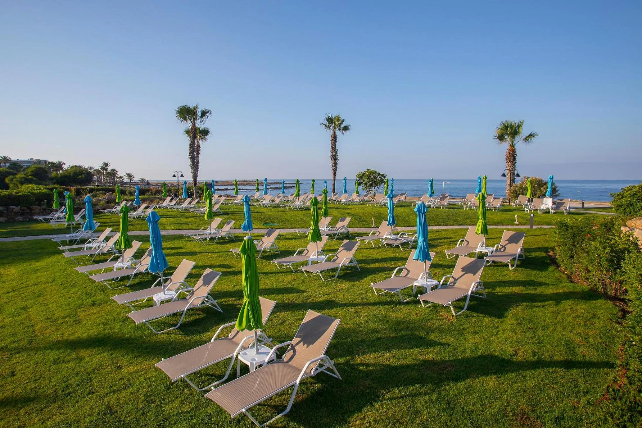 Garden in Leonardo Cypria Bay