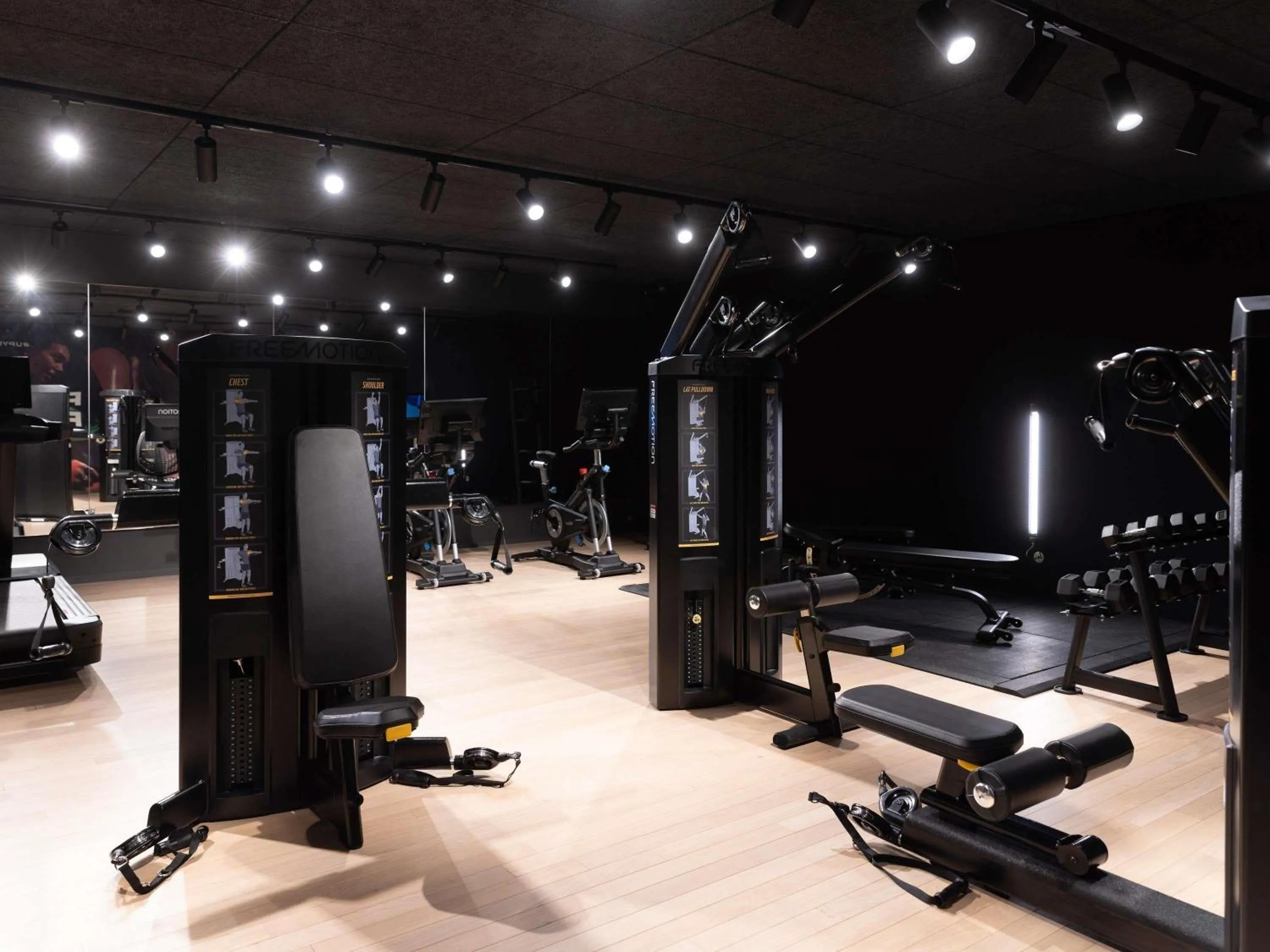 Fitness centre/facilities in Pullman Lyon