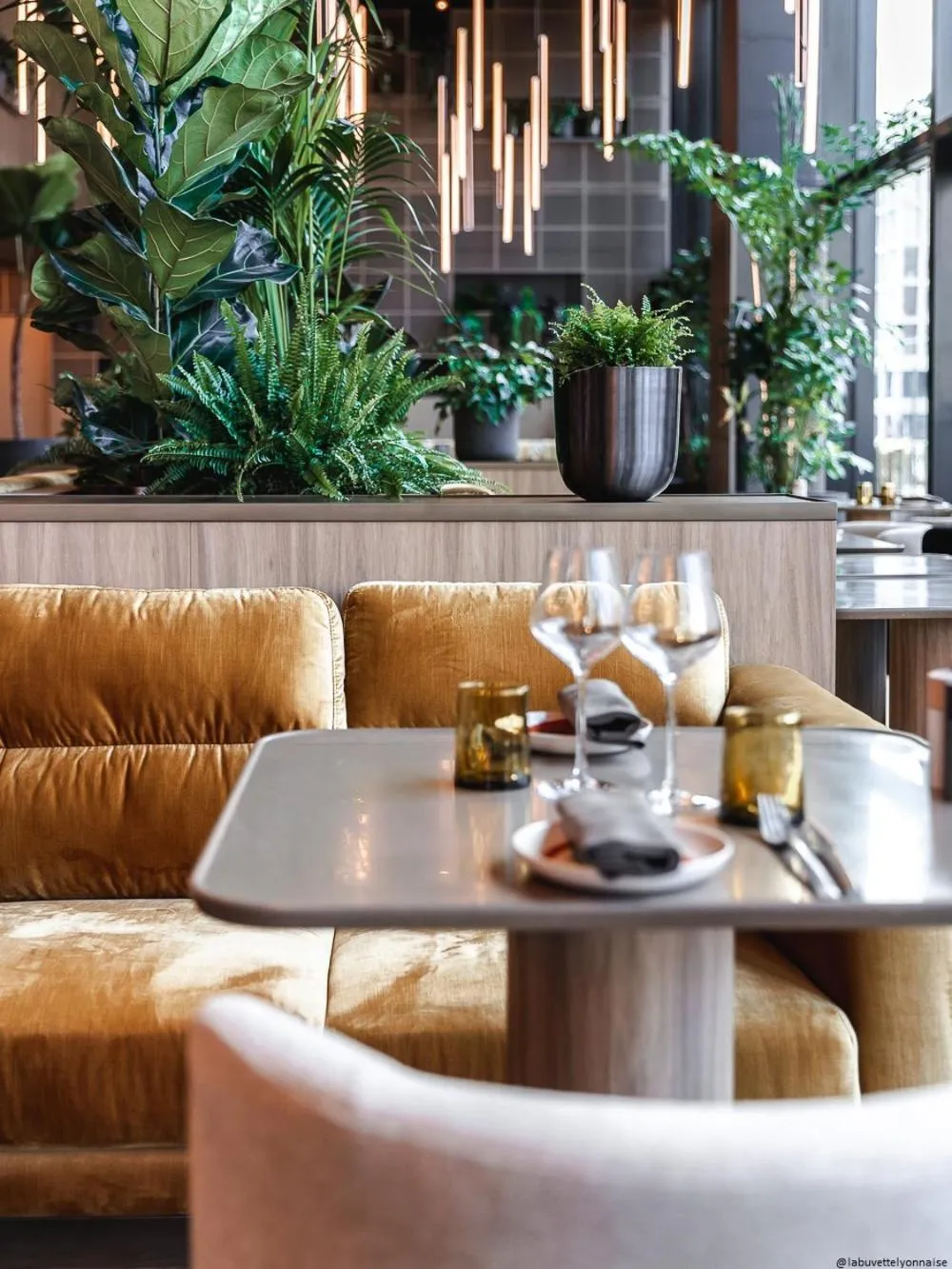 Restaurant/places to eat in Pullman Lyon