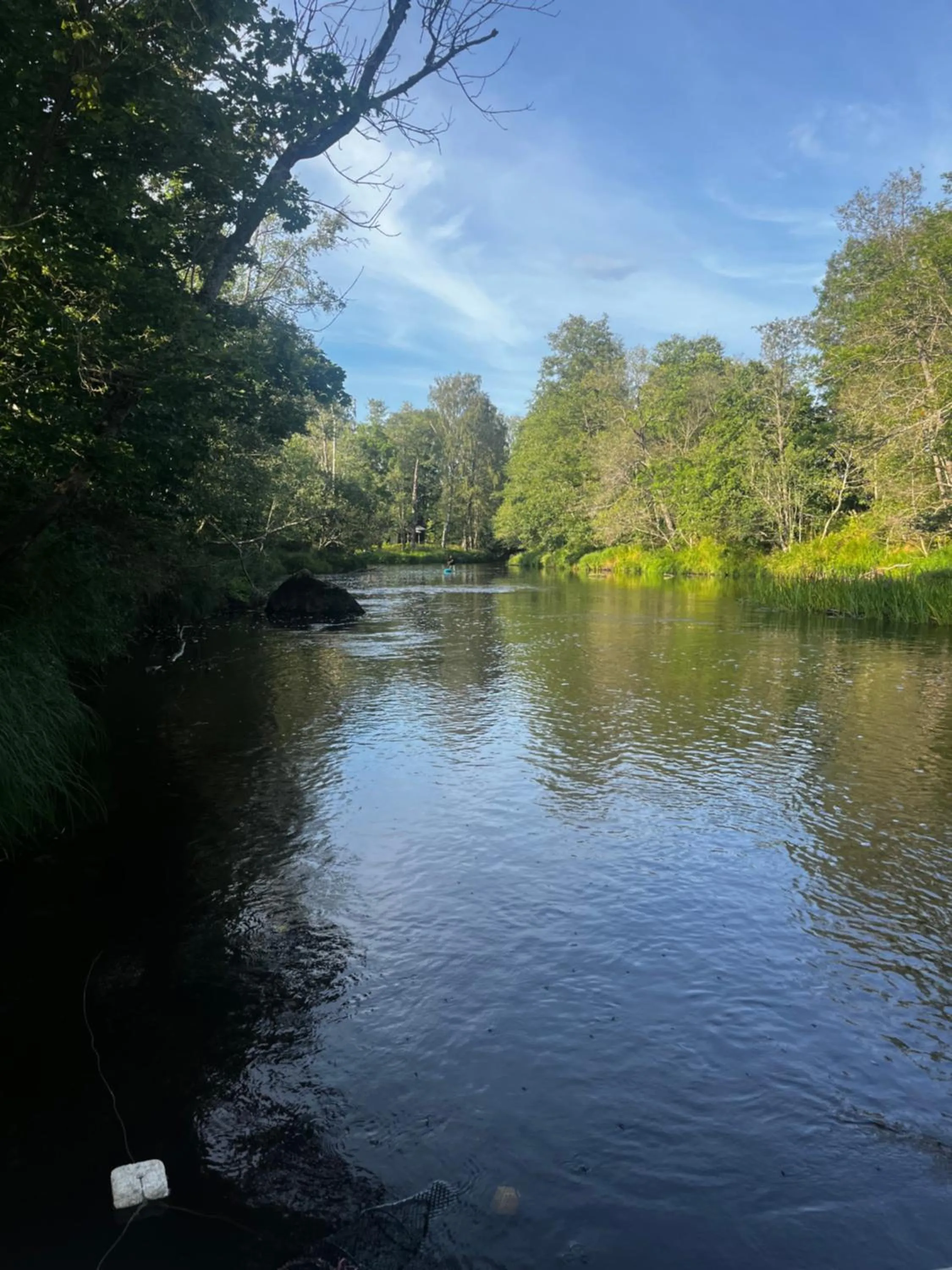 Natural landscape in Bäcks Bed & Breakfast