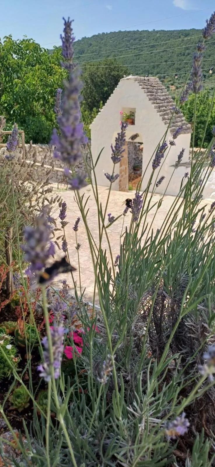 Property building in Masseria Mazzalorsa