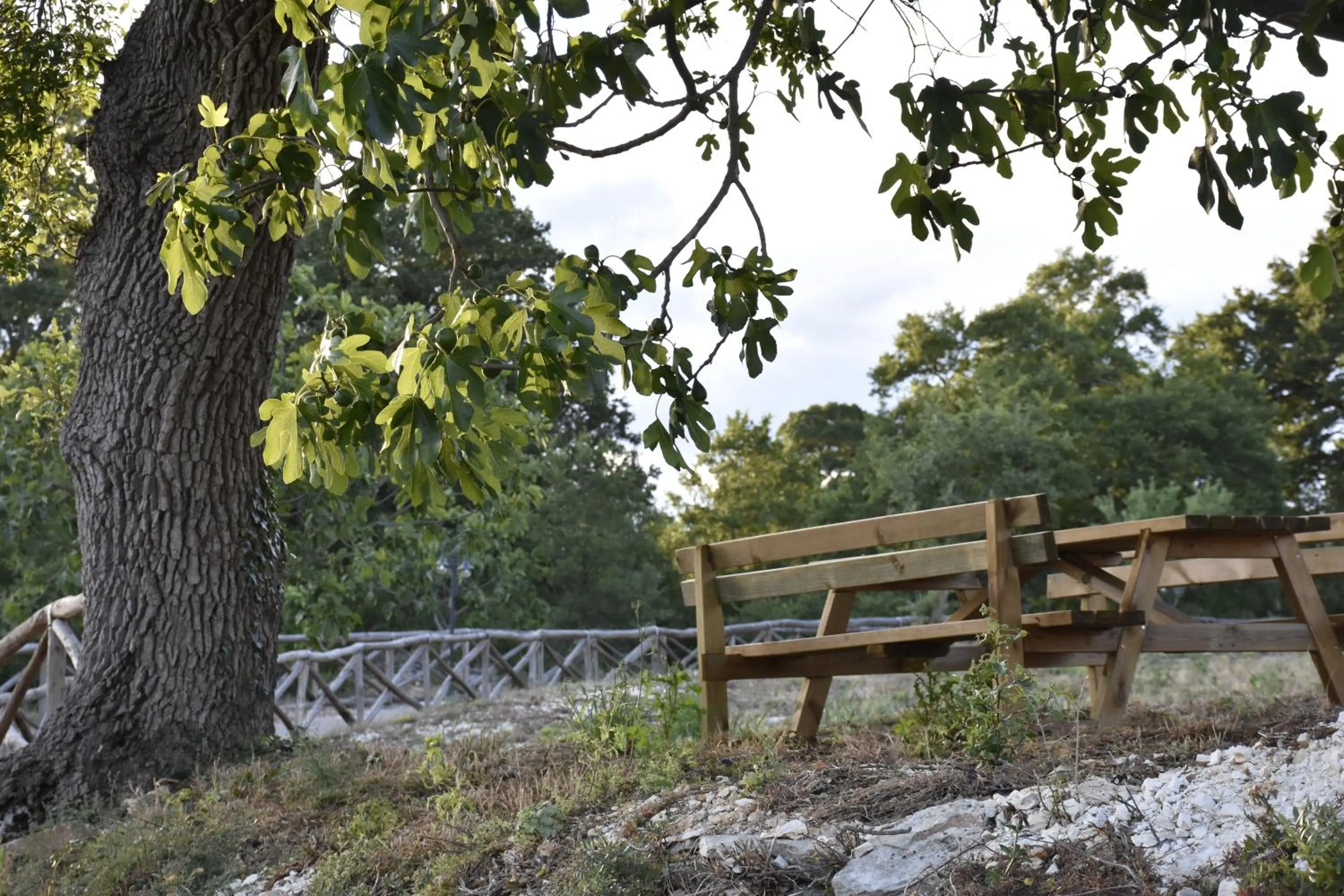 Garden in Masseria Mazzalorsa