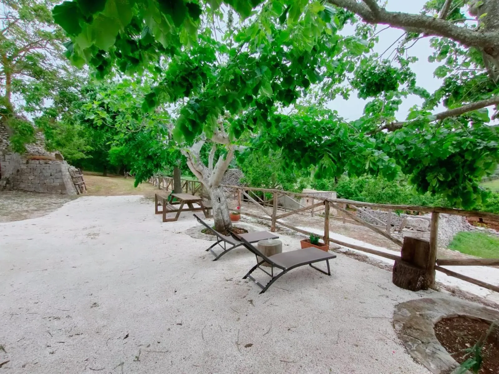 sunbed in Masseria Mazzalorsa