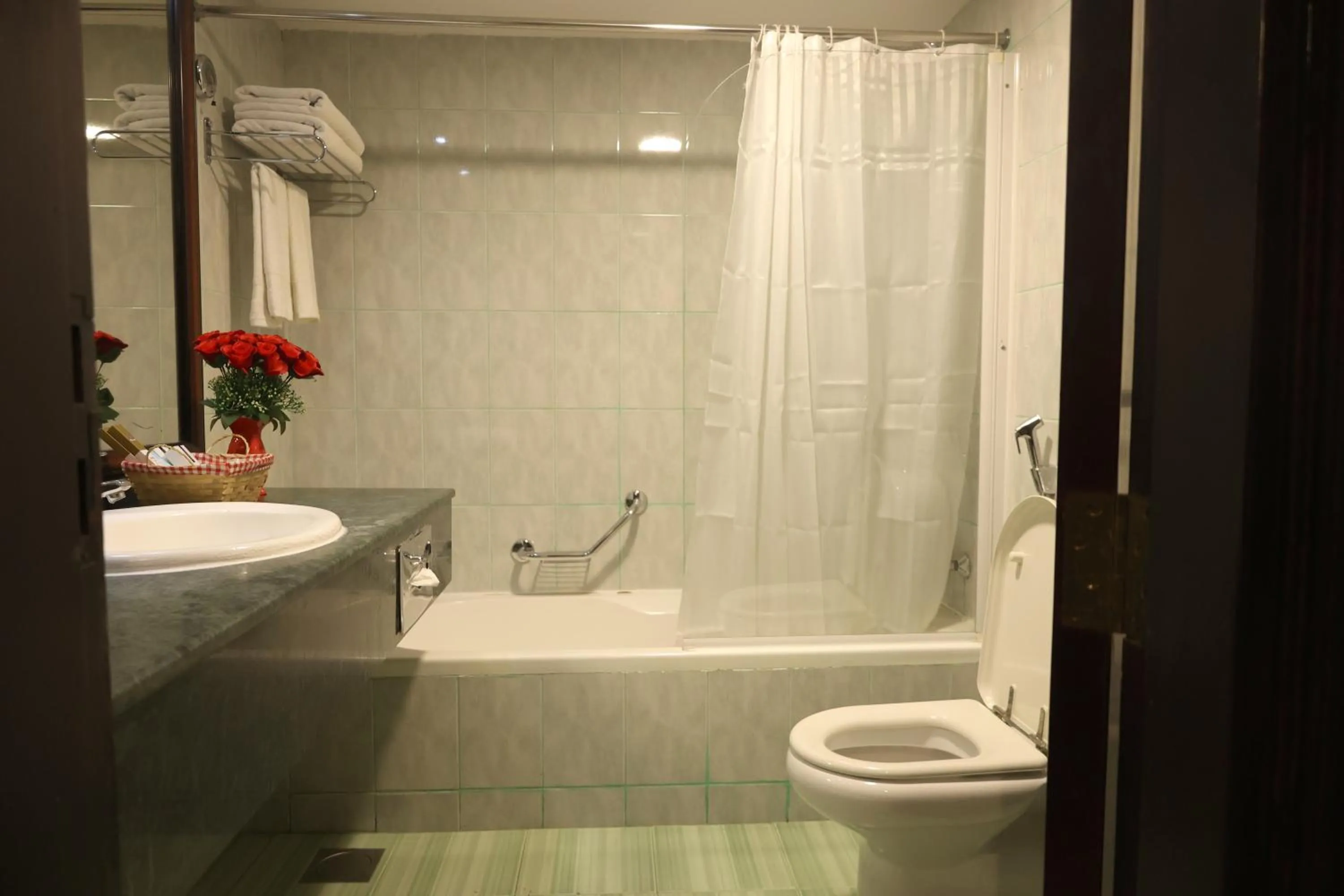 Toilet in Claridge Hotel Dubai