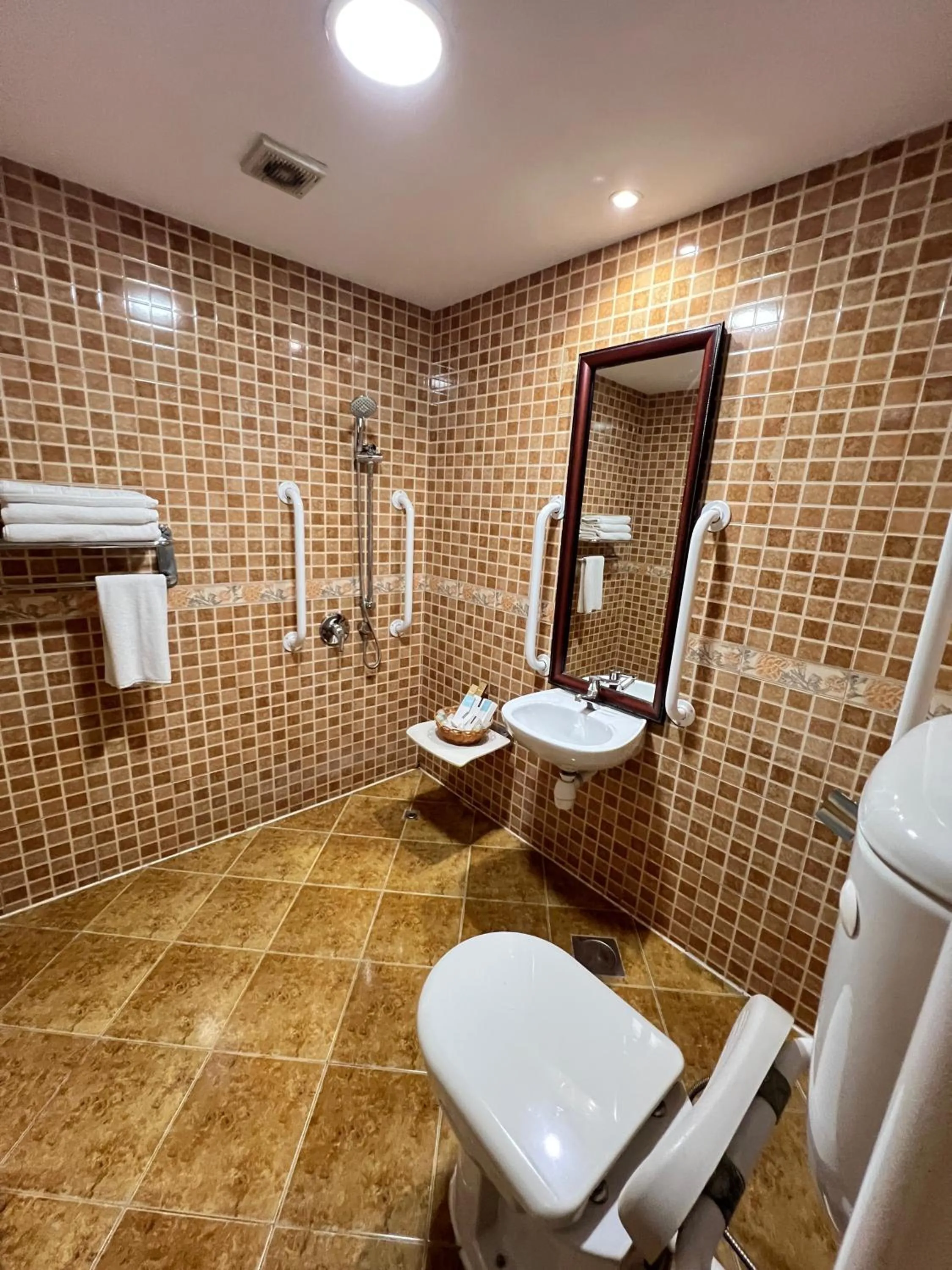 Toilet in Claridge Hotel Dubai