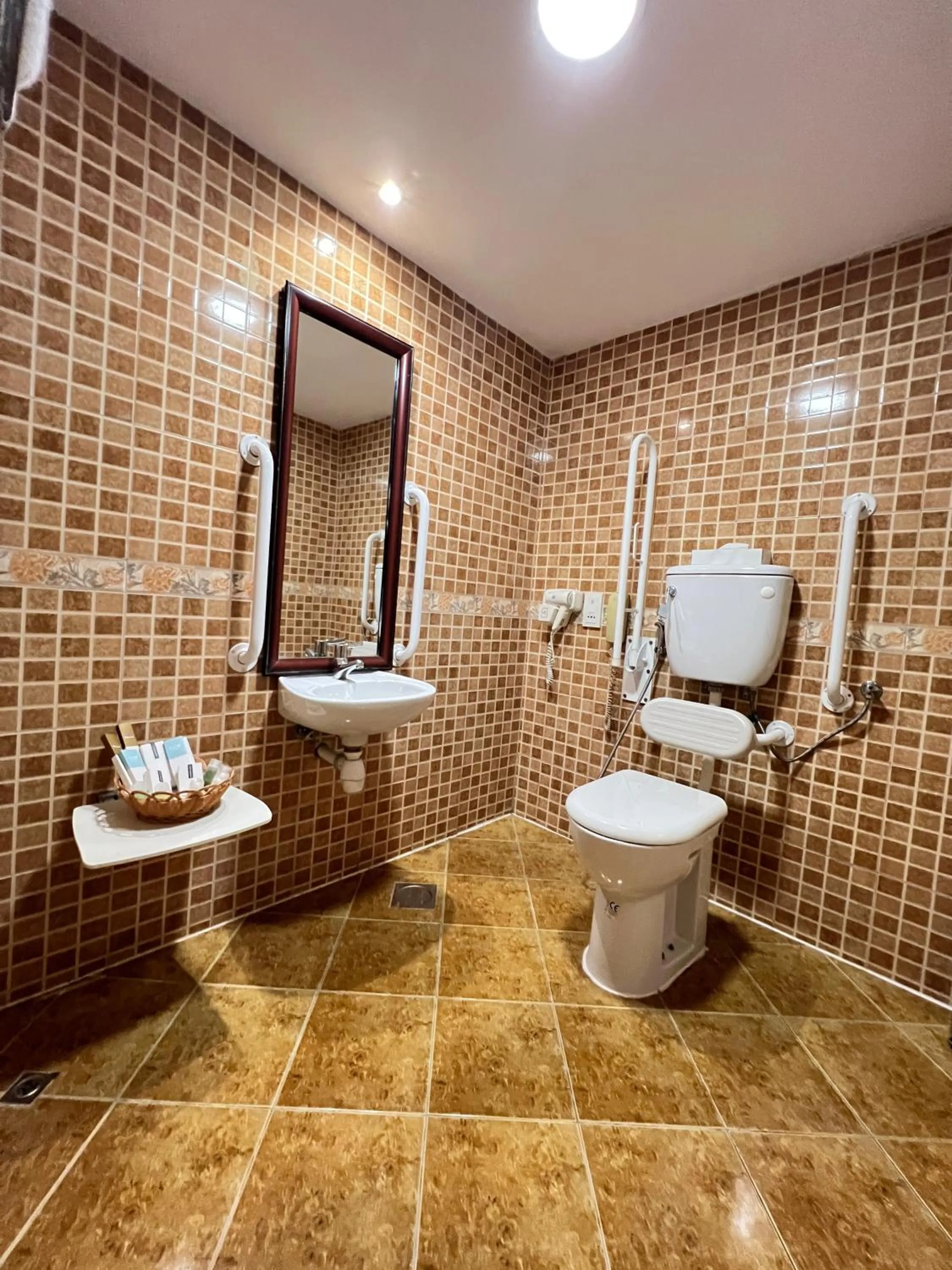 Toilet in Claridge Hotel Dubai