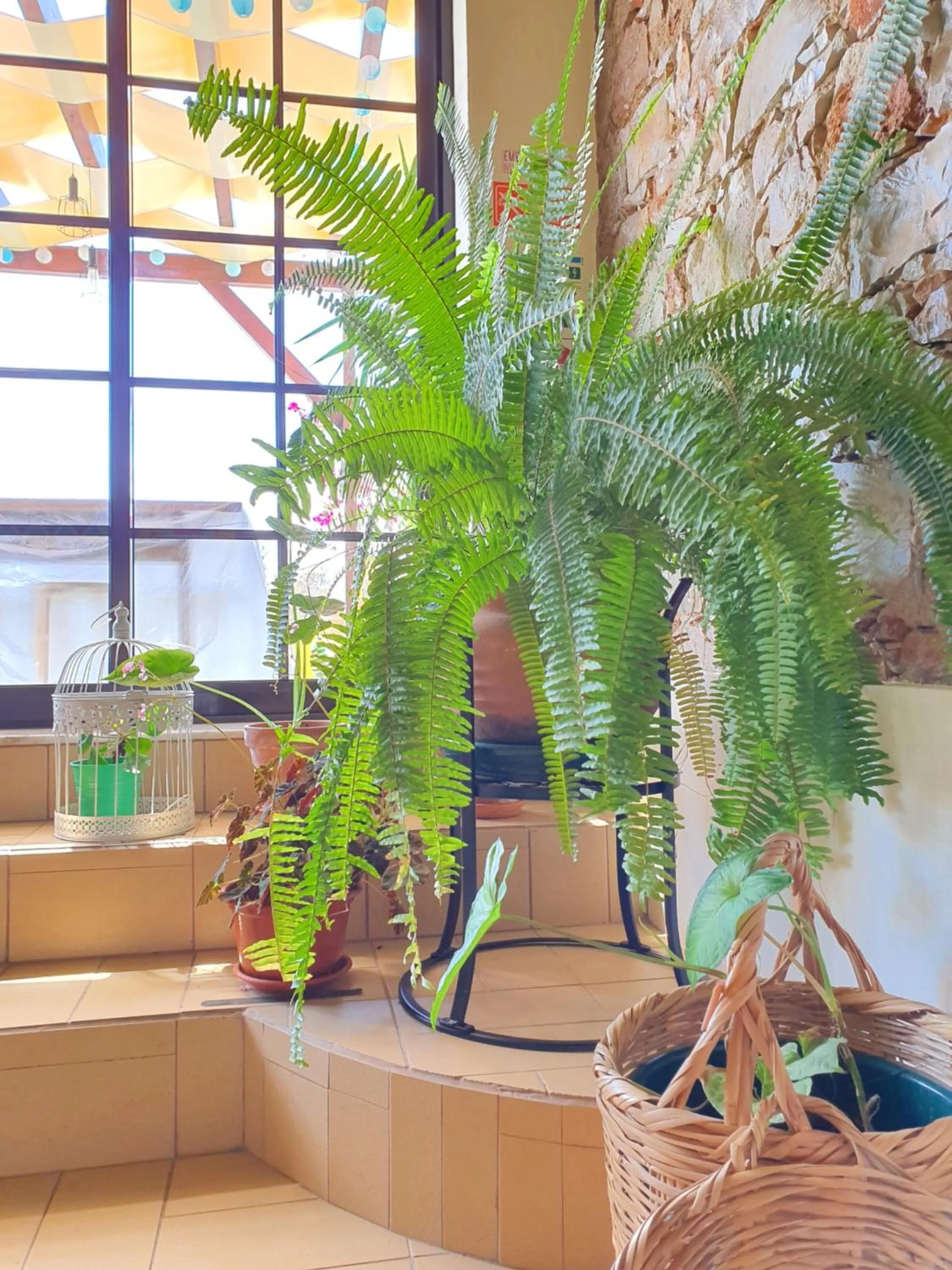 Decorative detail in Sunlight House