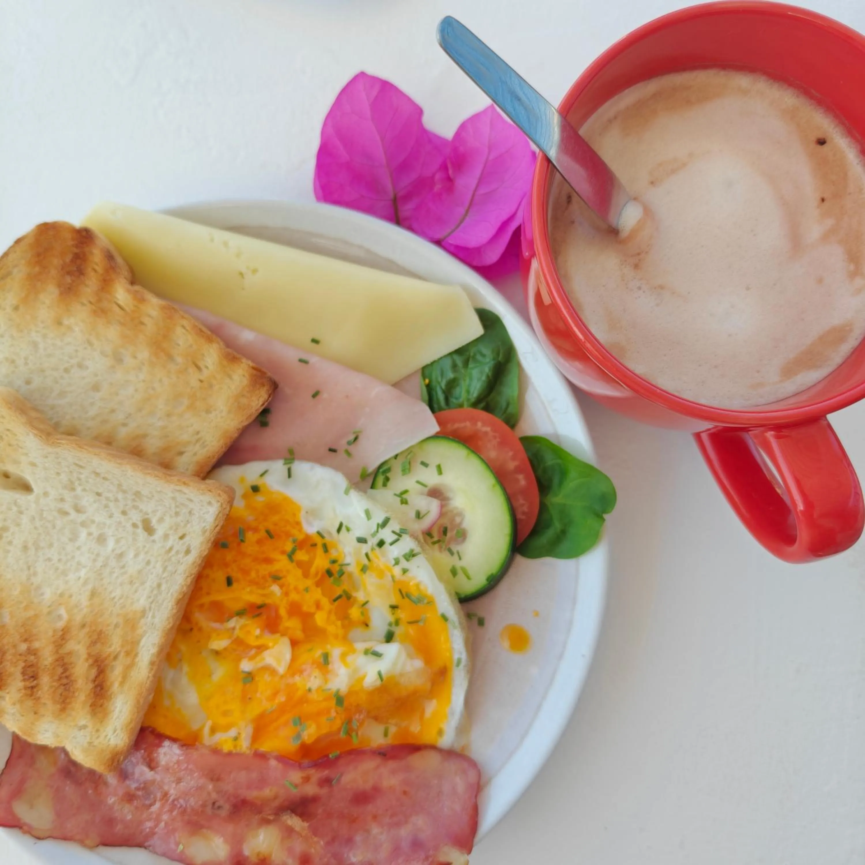 Breakfast in Sunlight House