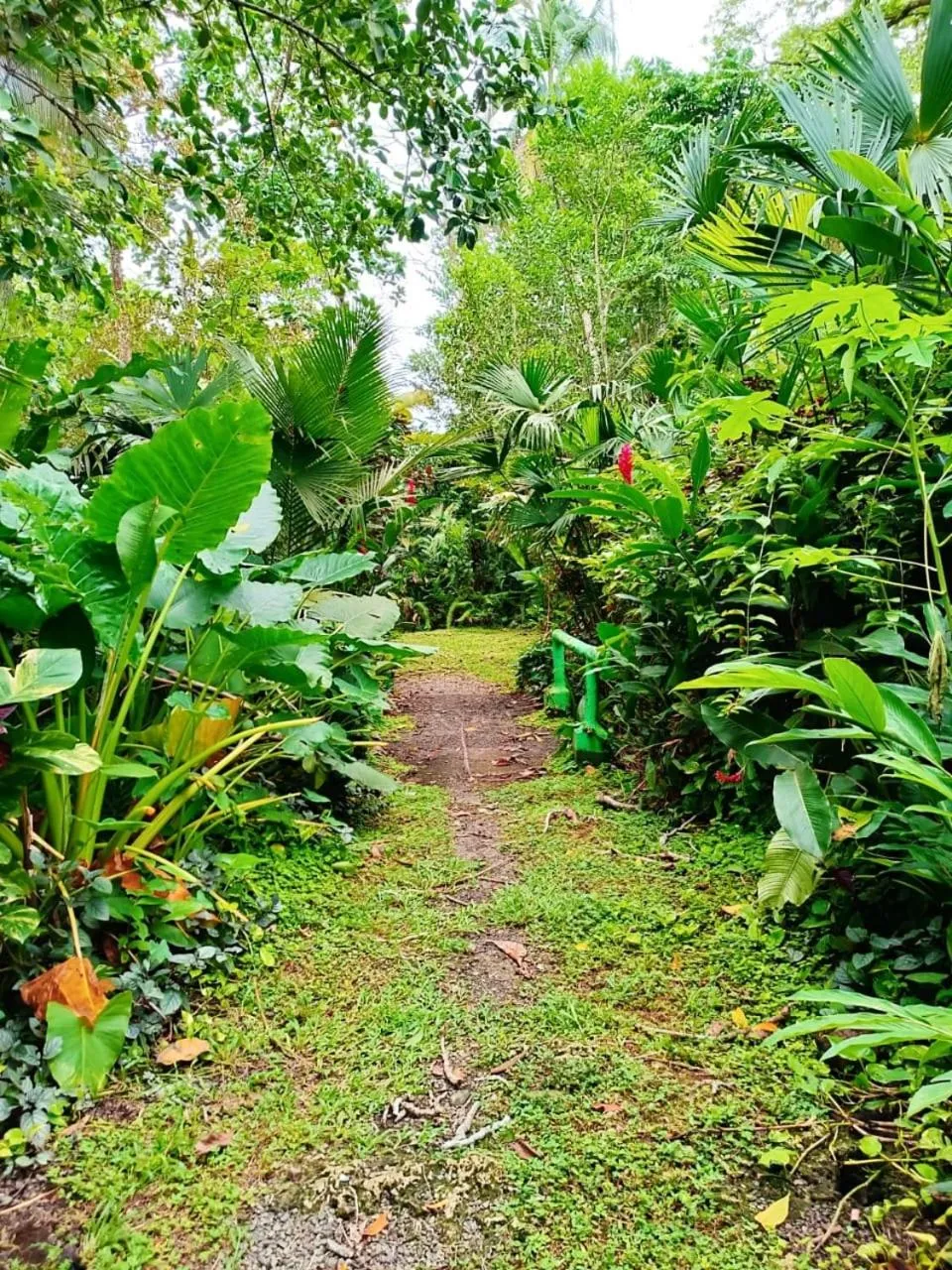 La Diosa Nature Lodge