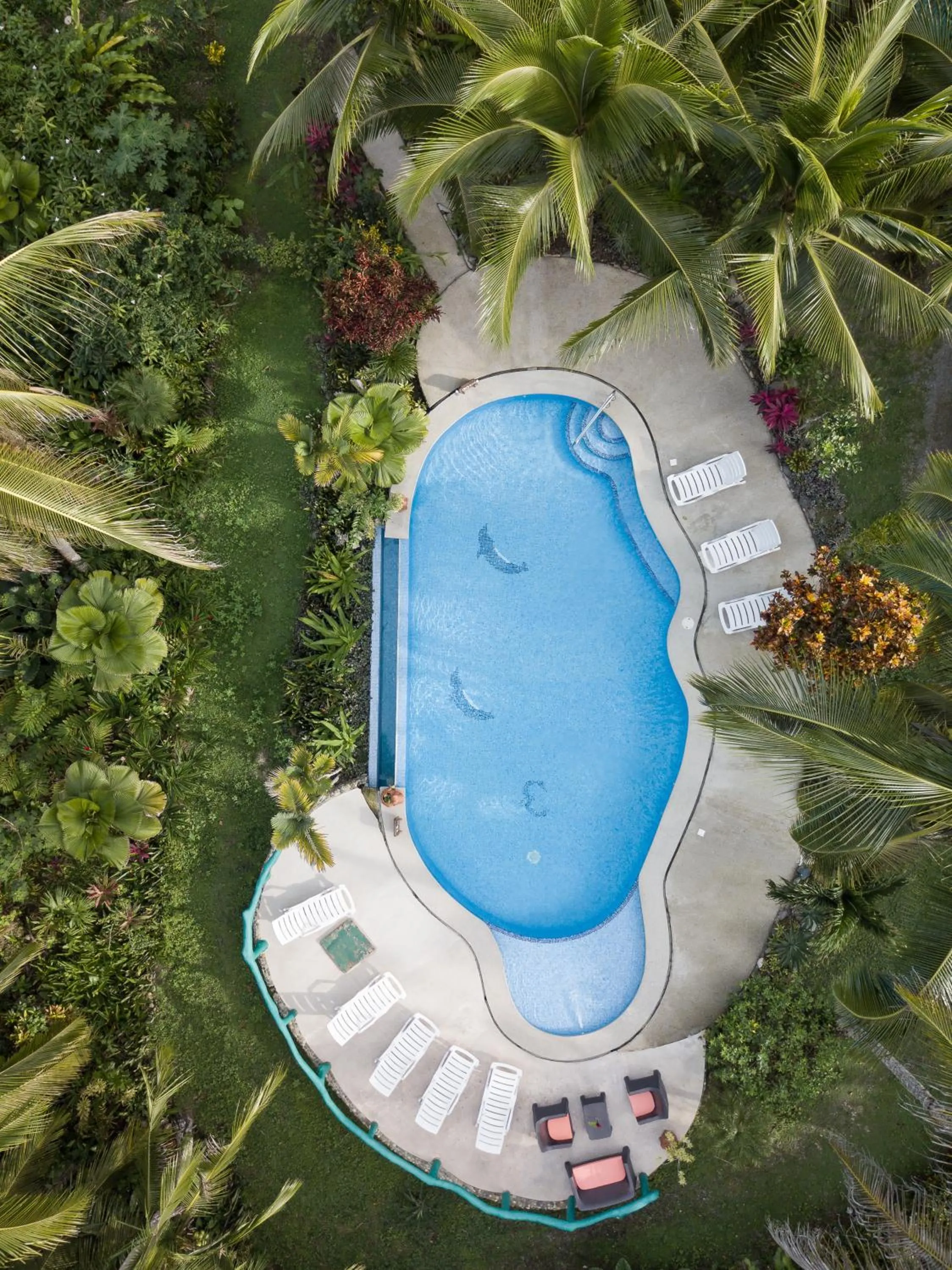 Bird's eye view in La Diosa Nature Lodge