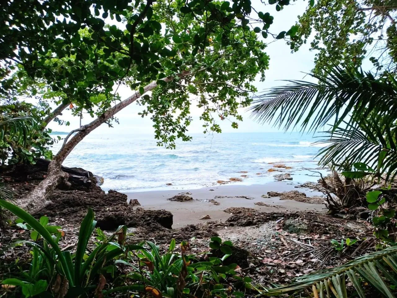 La Diosa Nature Lodge